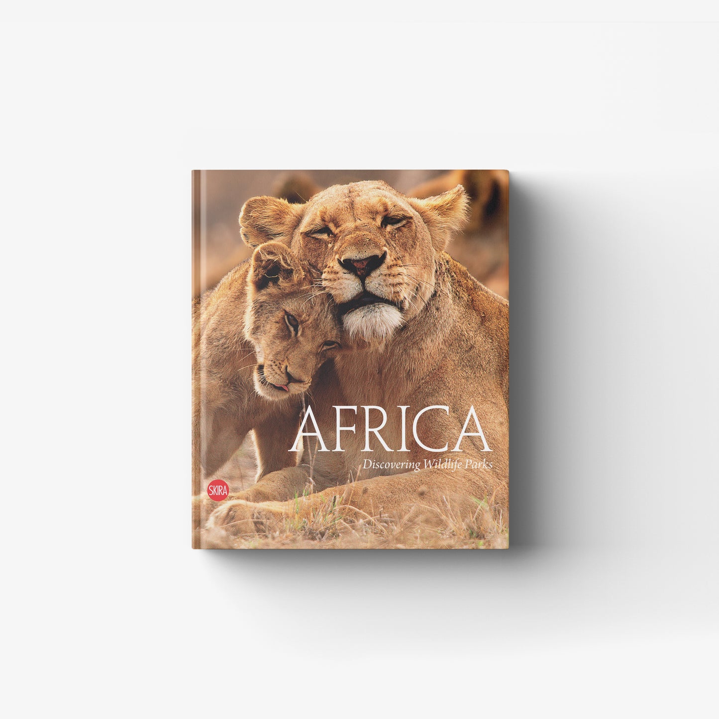 Africa. Discovering wildlife parks