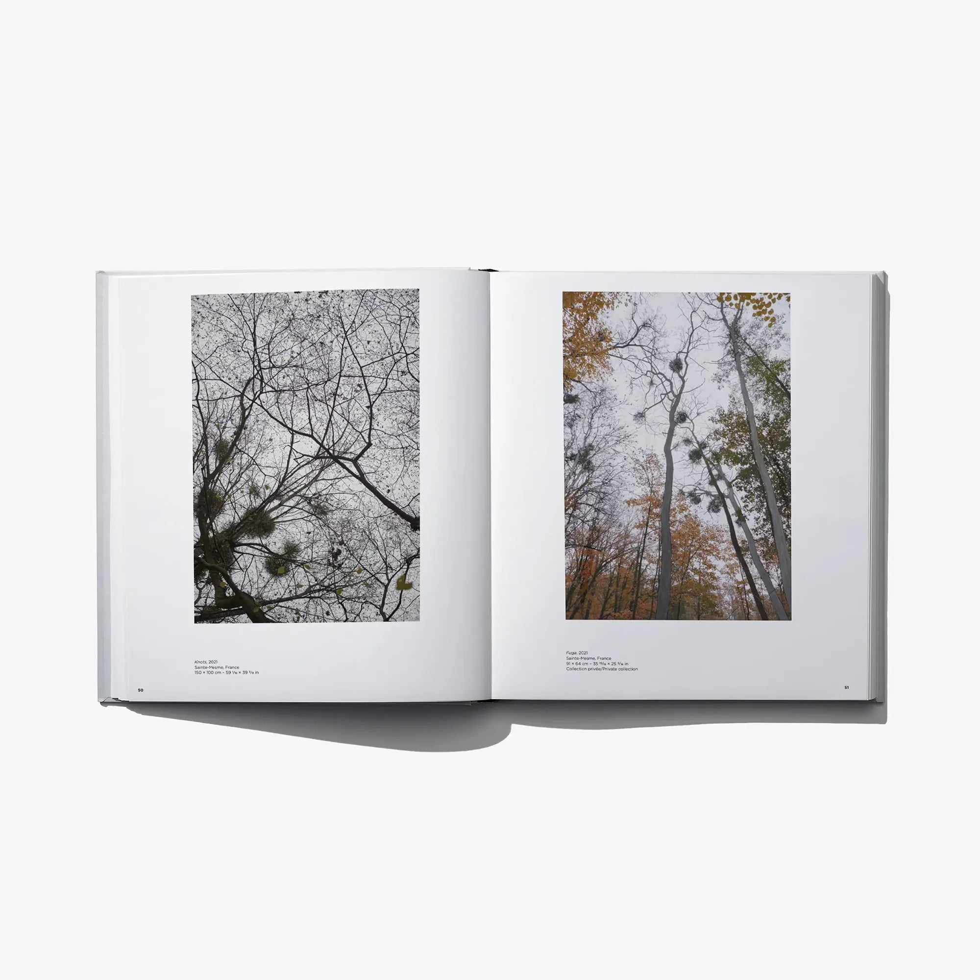 Open photo book with two landscape prints on white pages, binding and spine visible