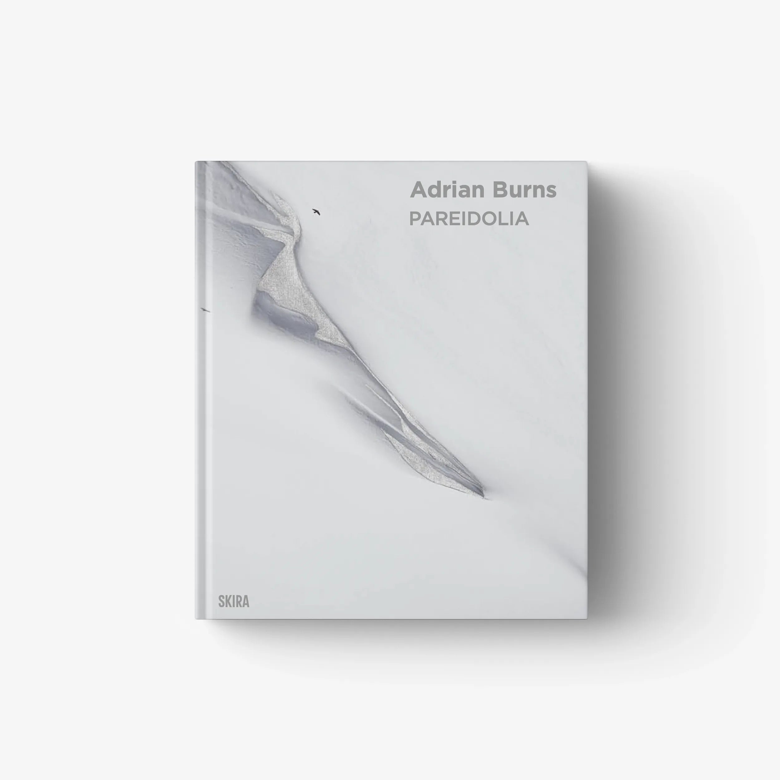 Gray hardcover art book cover with whale image and text “Adrian Burns / PAREIDOLIA”