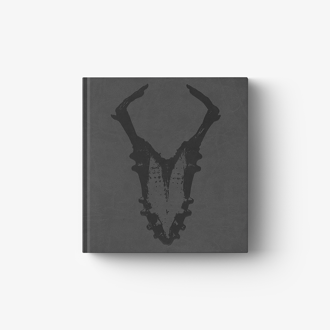 Adriano Amaral (English Edition)