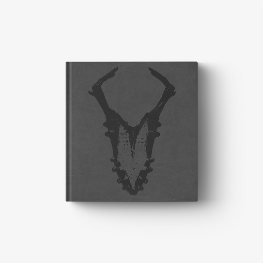 Adriano Amaral (English Edition)