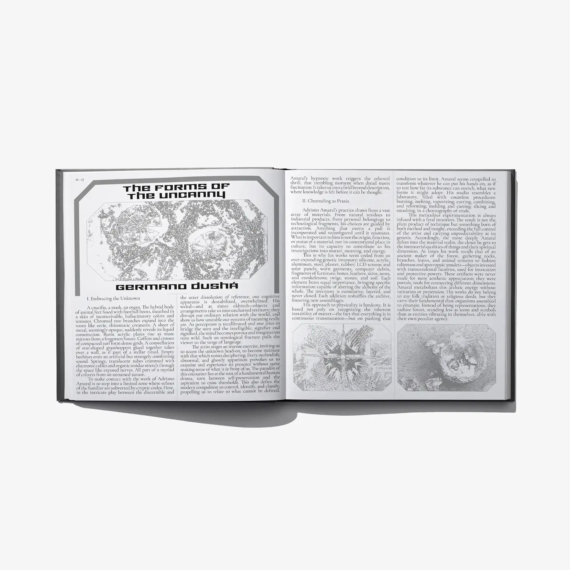 Open hardcover book with dense text and diagram illustrations on two pages