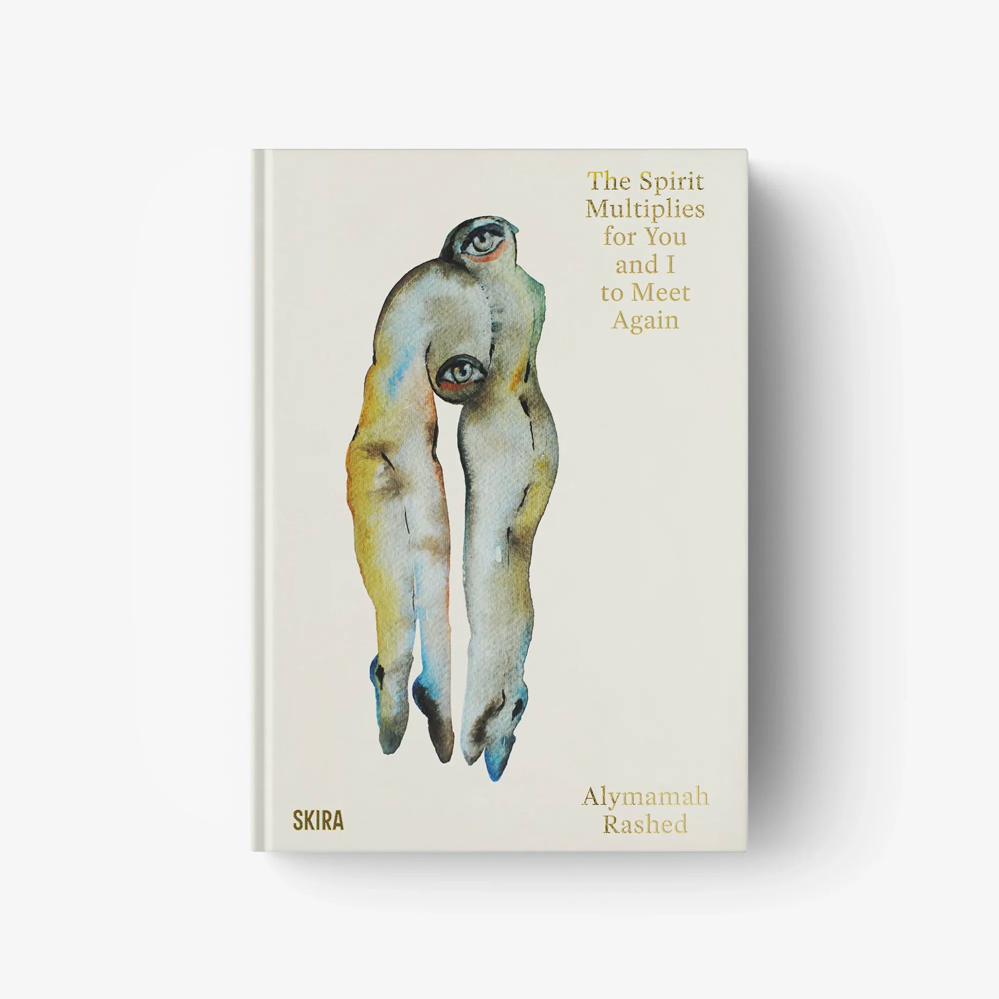 Hardcover art book cover with two abstract figures in light blue and teal