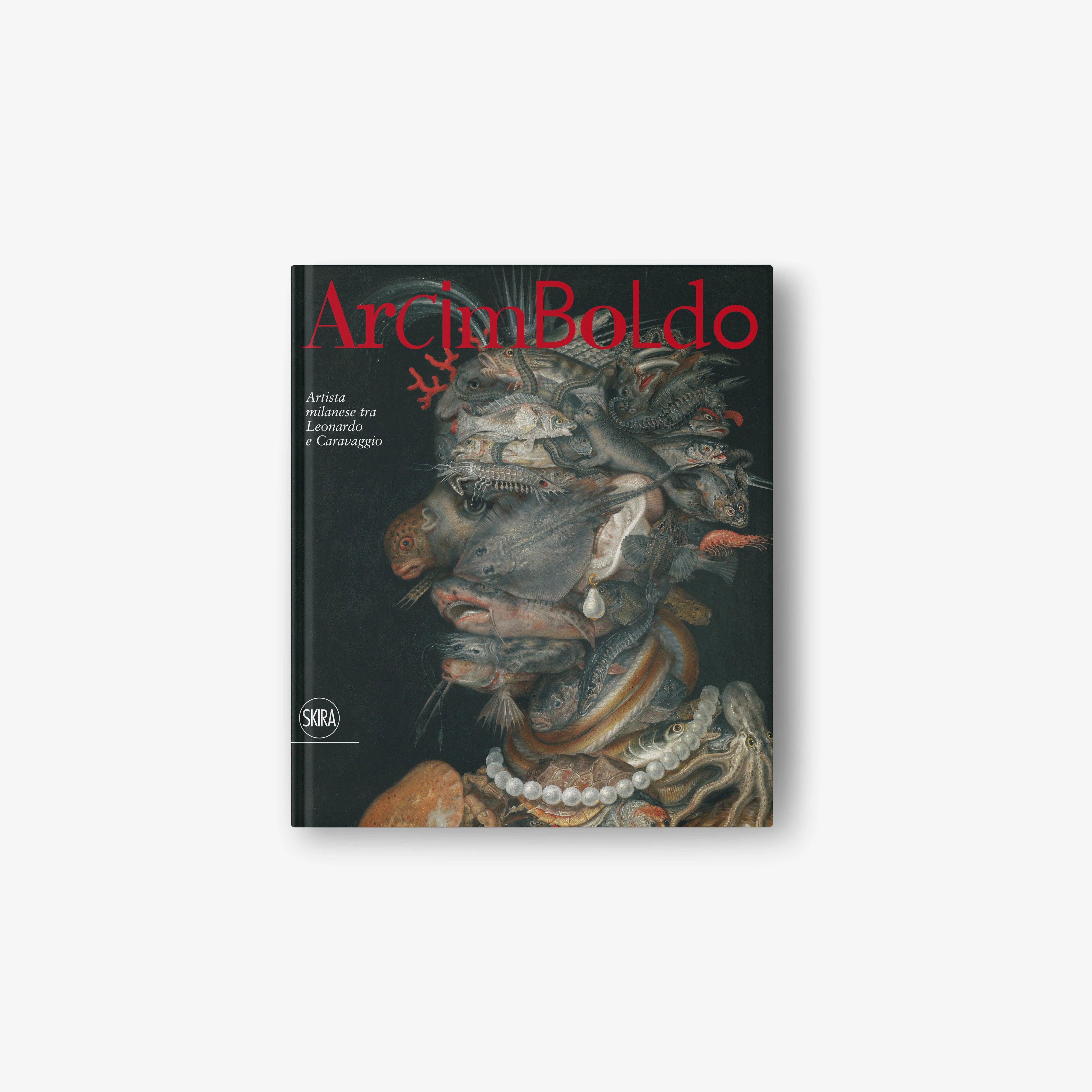 Hardcover art book with dark cover and colorful painted portrait, red title text