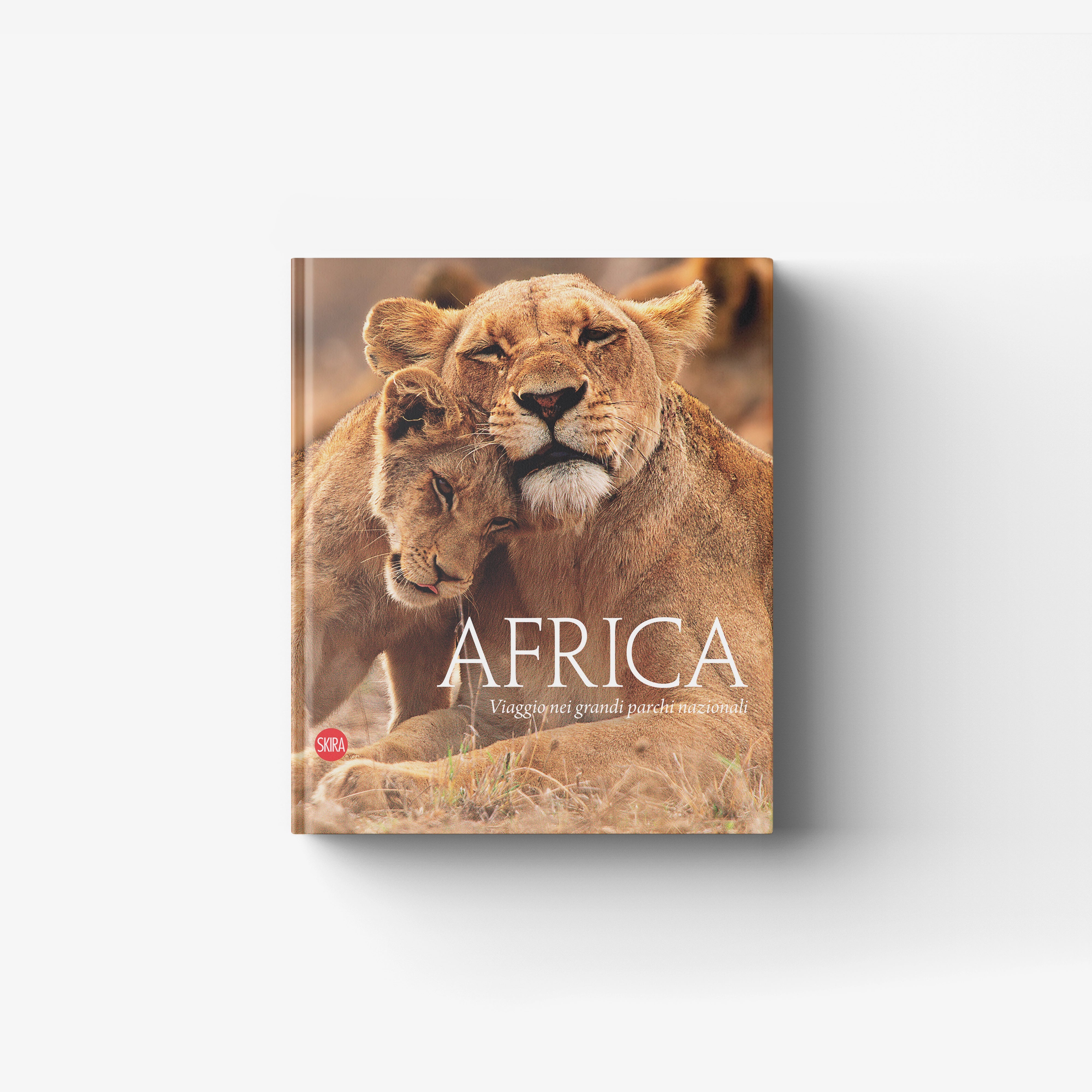 illustrated national parks book by Skira Arte with African lion cover and wildlife photography