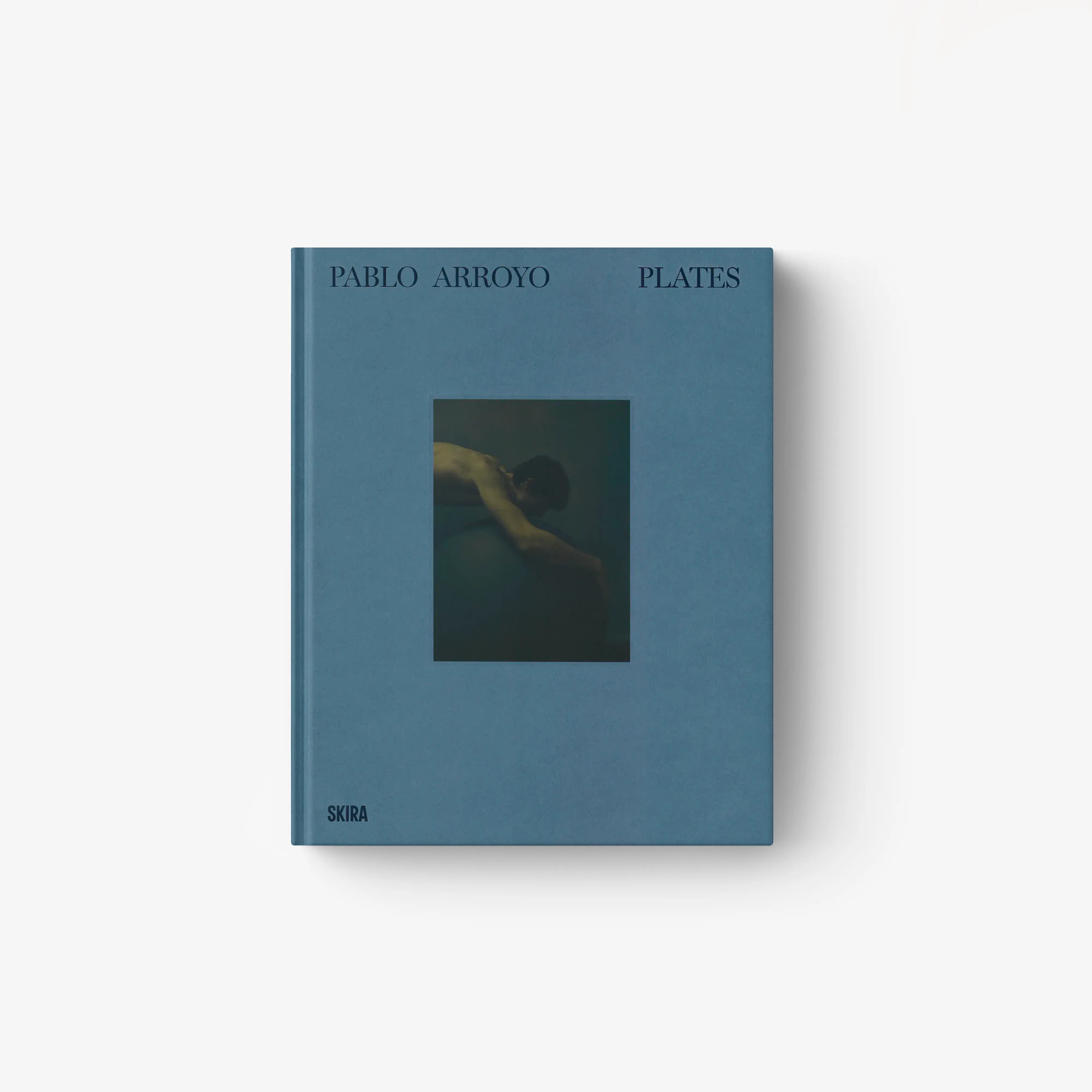 Hardcover art book with teal blue cover and centered square artwork; title “Plates”