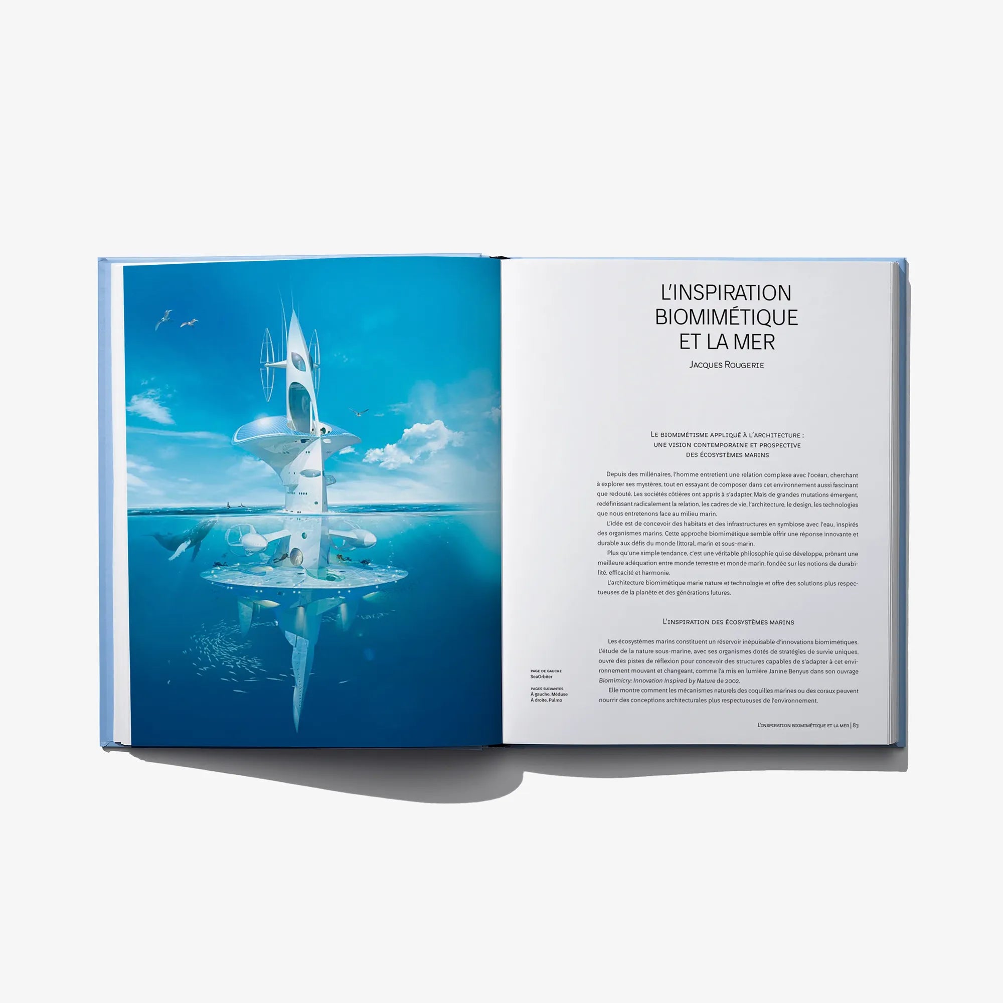 Open hardcover book with blue marine graphic on left and text page on right