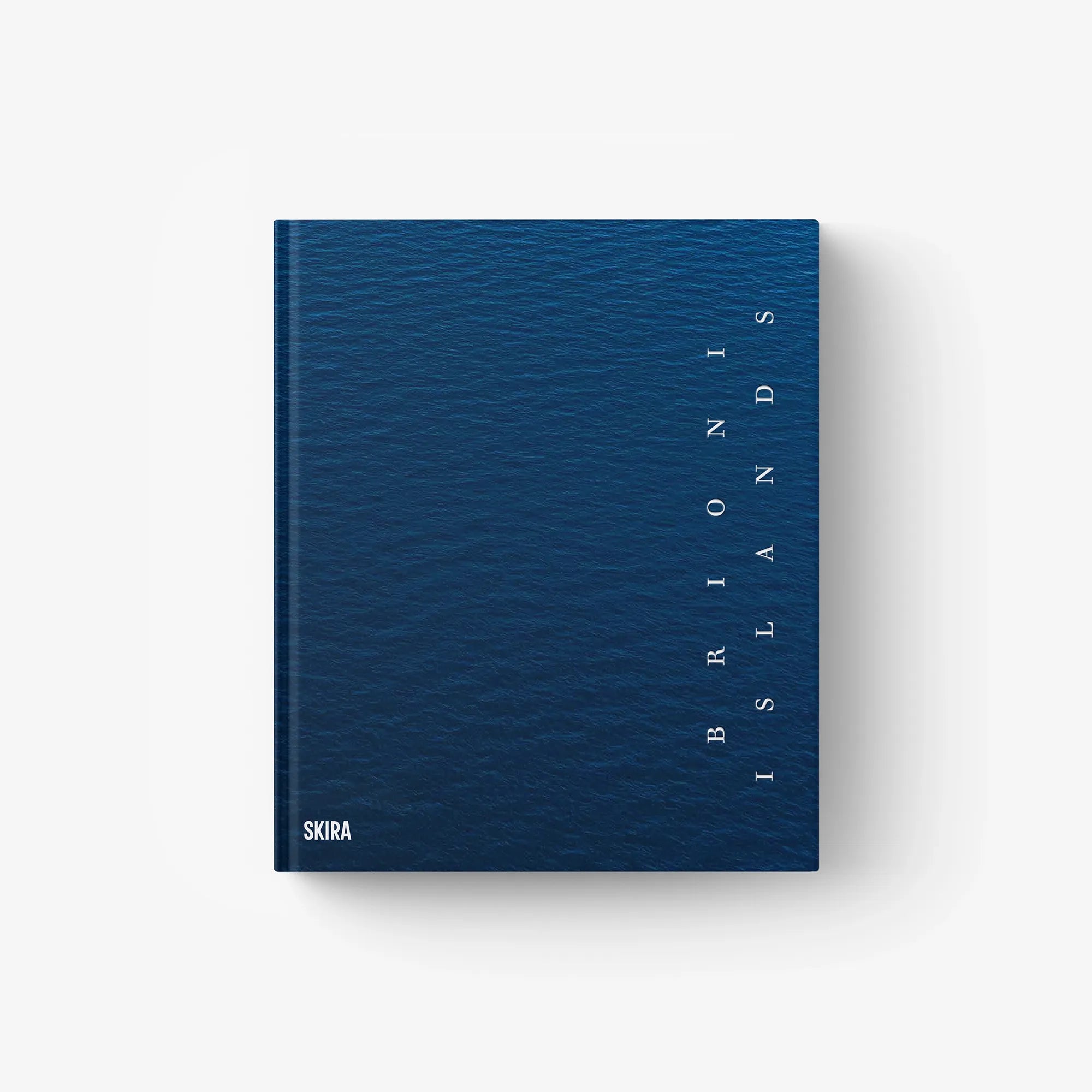 Blue photo book cover with vertical title text and SKIRA at bottom left.