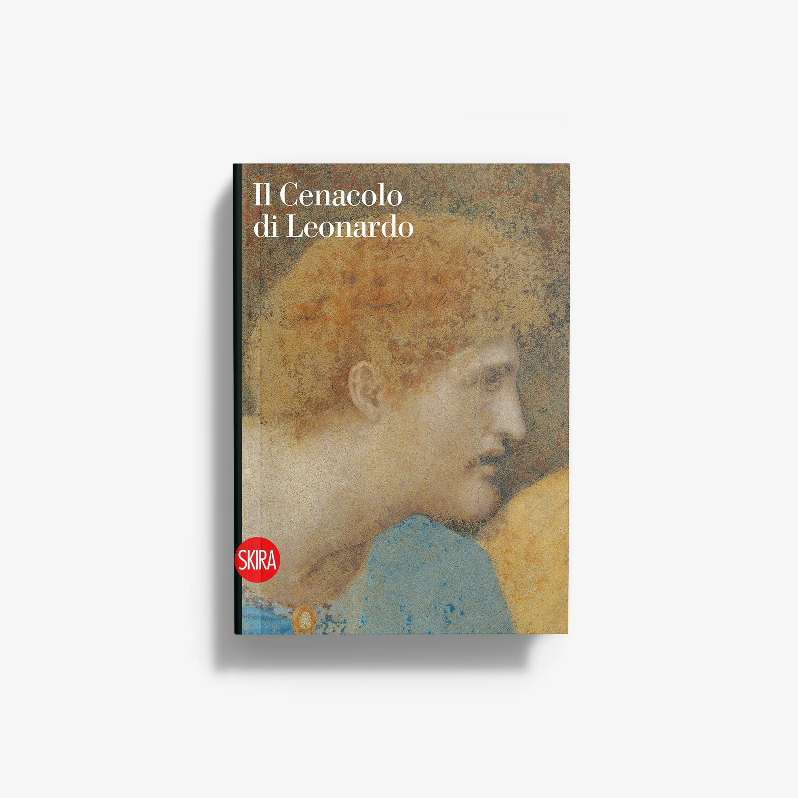 Hardcover art book with Renaissance male profile on illustrated cover, title text at top.