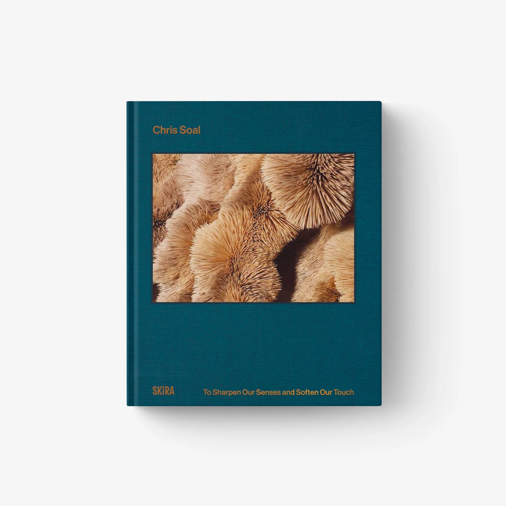 Teal art book with cover photo of close-up animal fur.