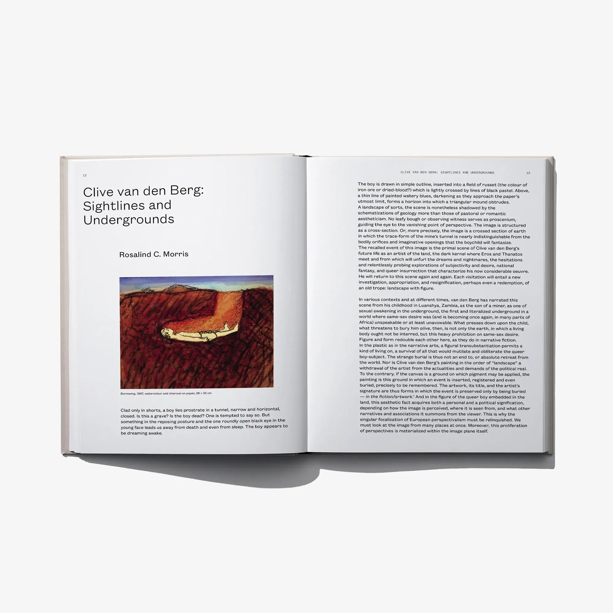 Open hardcover art book with printed painting spread and caption blocks