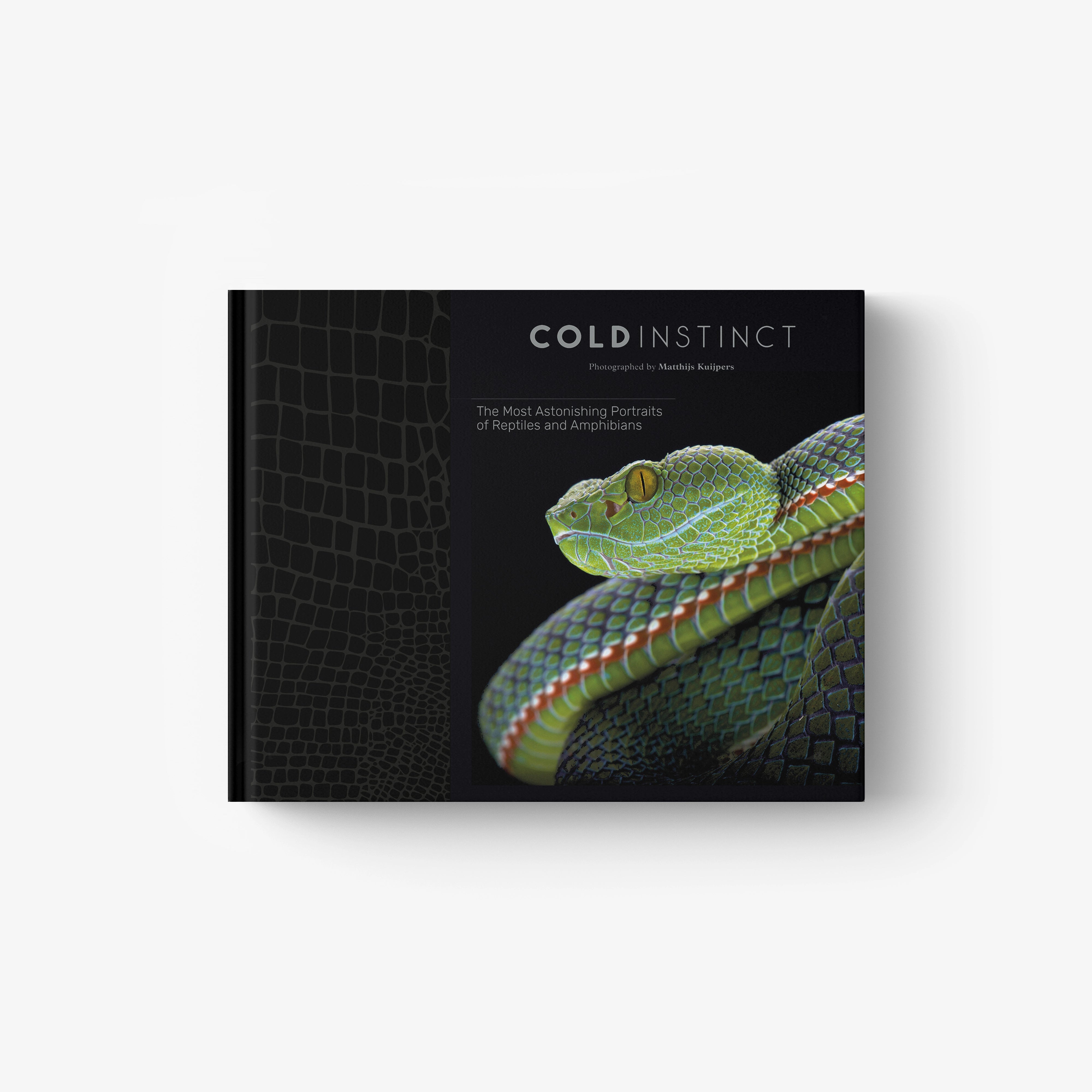 Dark book cover with teal and green snake illustration and title text