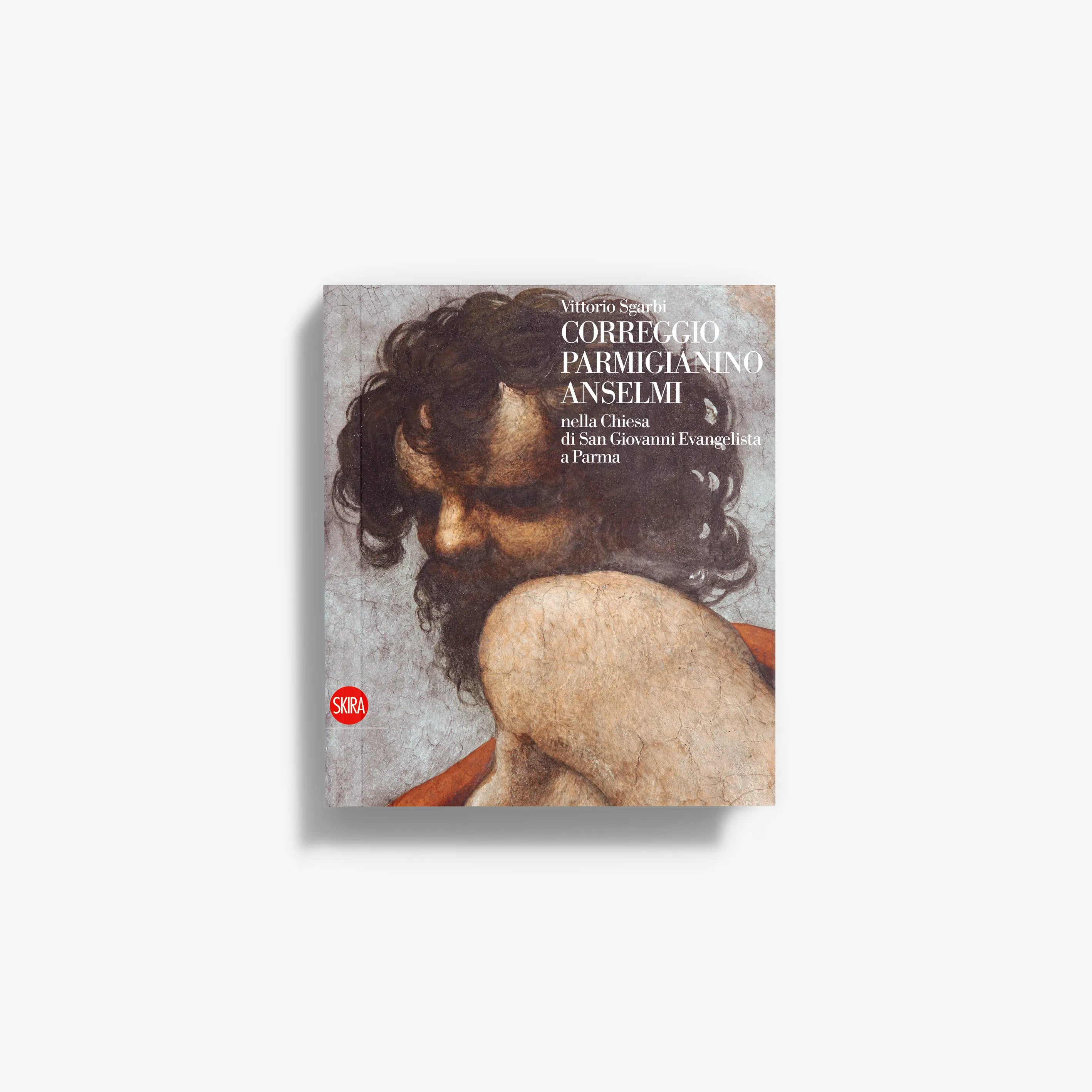 Art history book cover with painted portrait of a woman with curly dark hair
