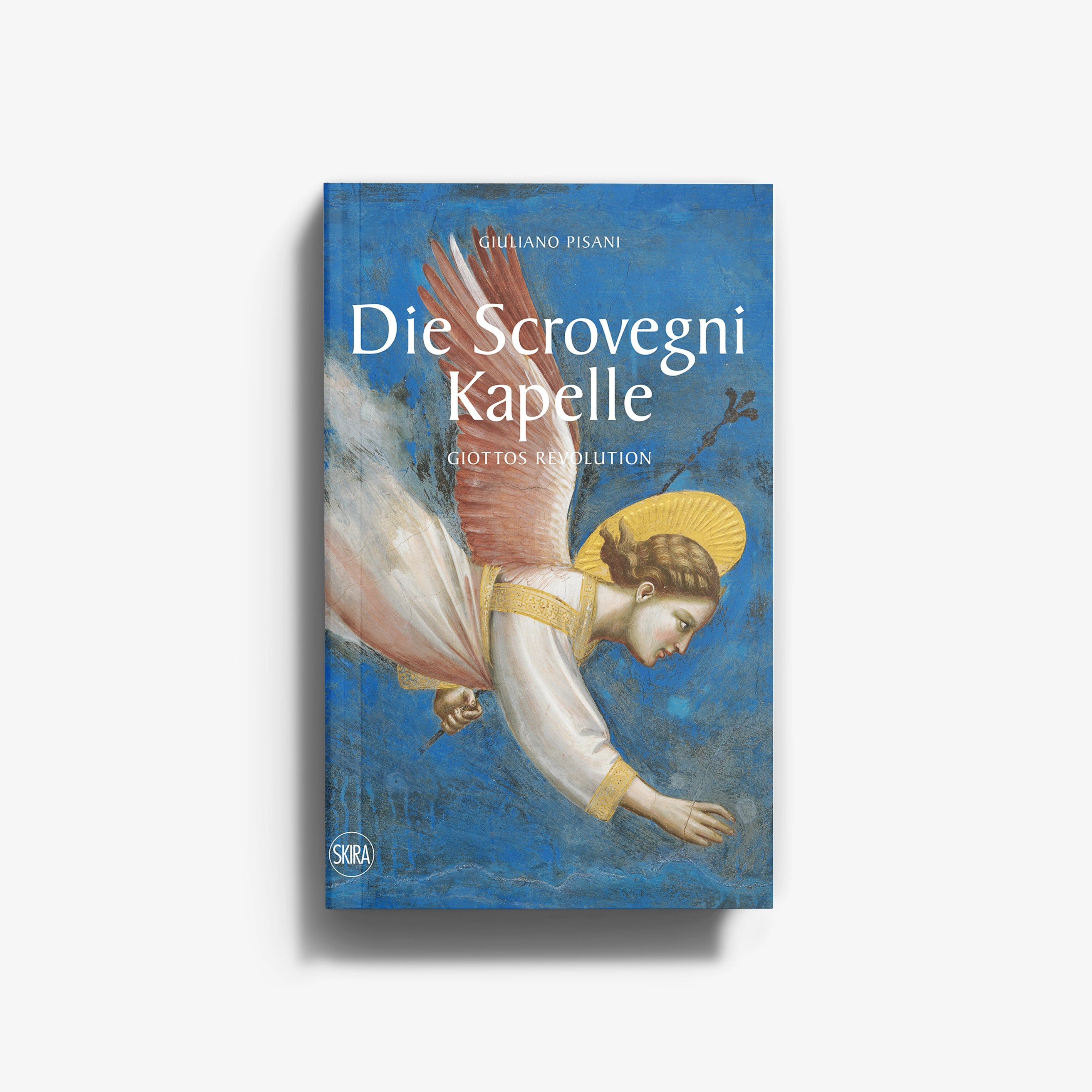 Art book by Skira Arte with blue cover and fresco artwork, Giottos revolution theme and explanatory text