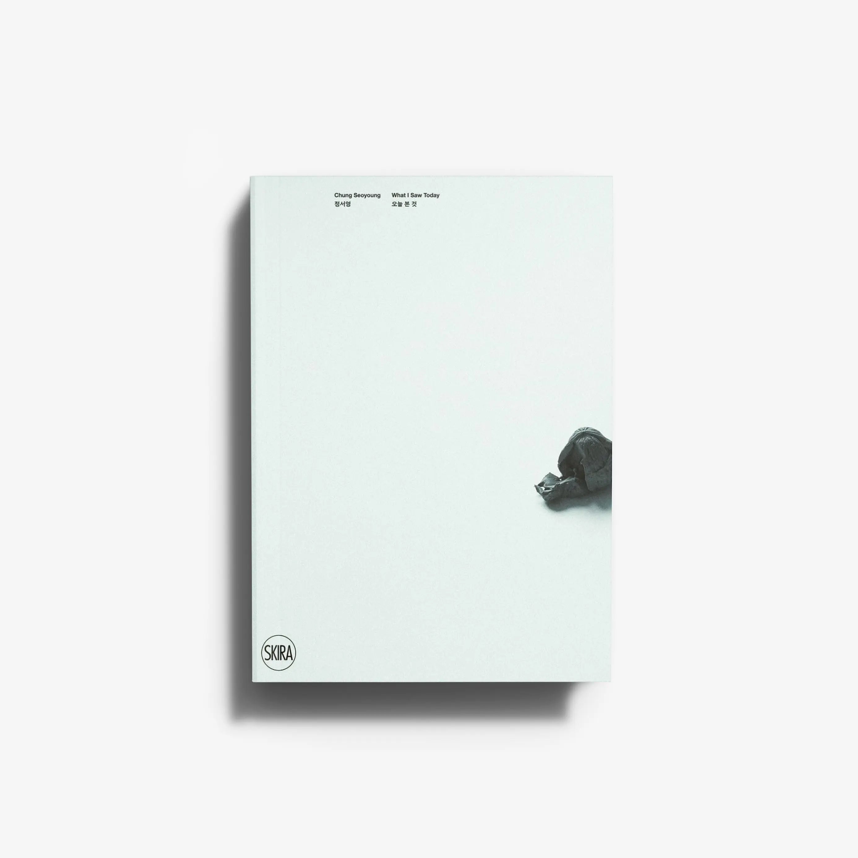 Contemporary art monograph book in pale mint green with Skira Arte, featuring a sculptural practice survey from the 1990s