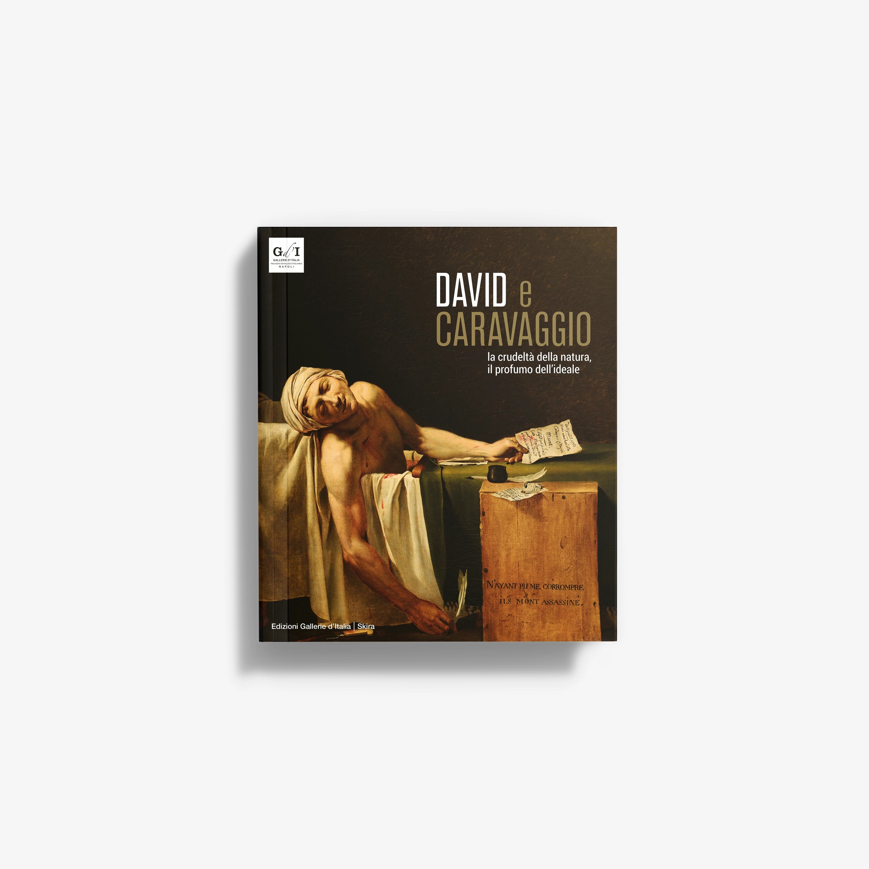 Art book cover: David e Caravaggio with classical painting and title