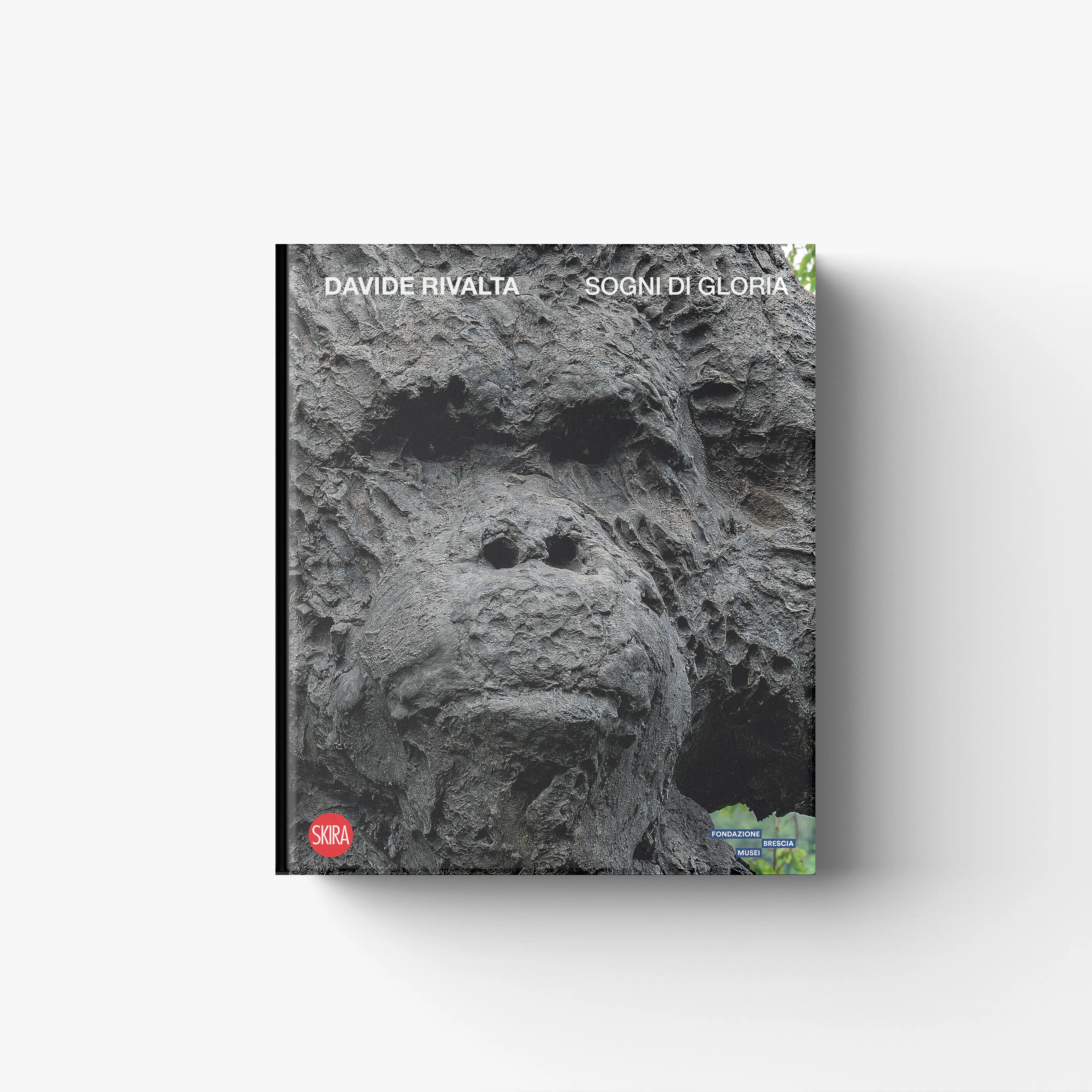 Contemporary art catalogue by Skira Arte for Davide Rivalta, grey bronze owl sculpture cover with textured relief background