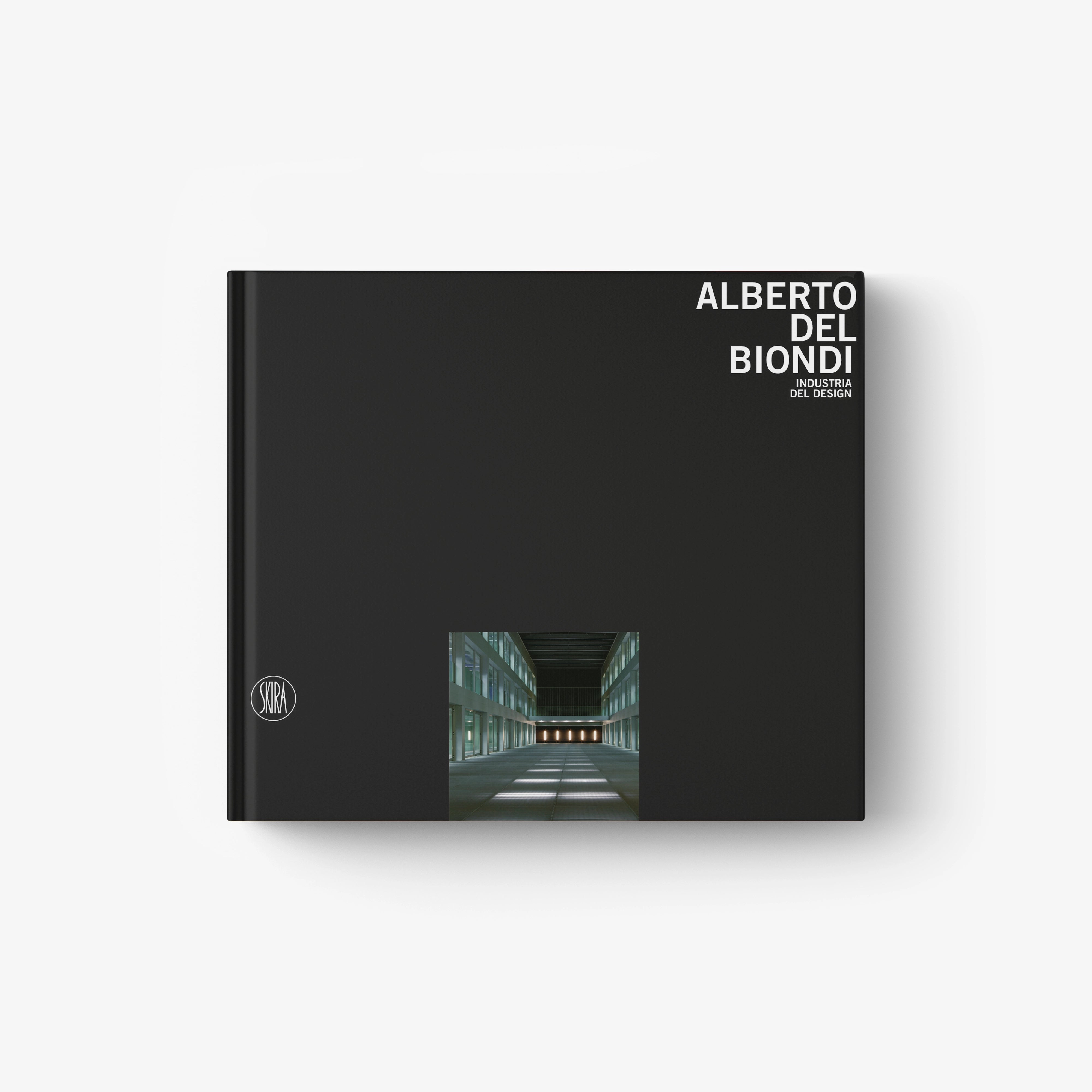 Alberto Del Biondi hardcover design book with dark cover and city artwork