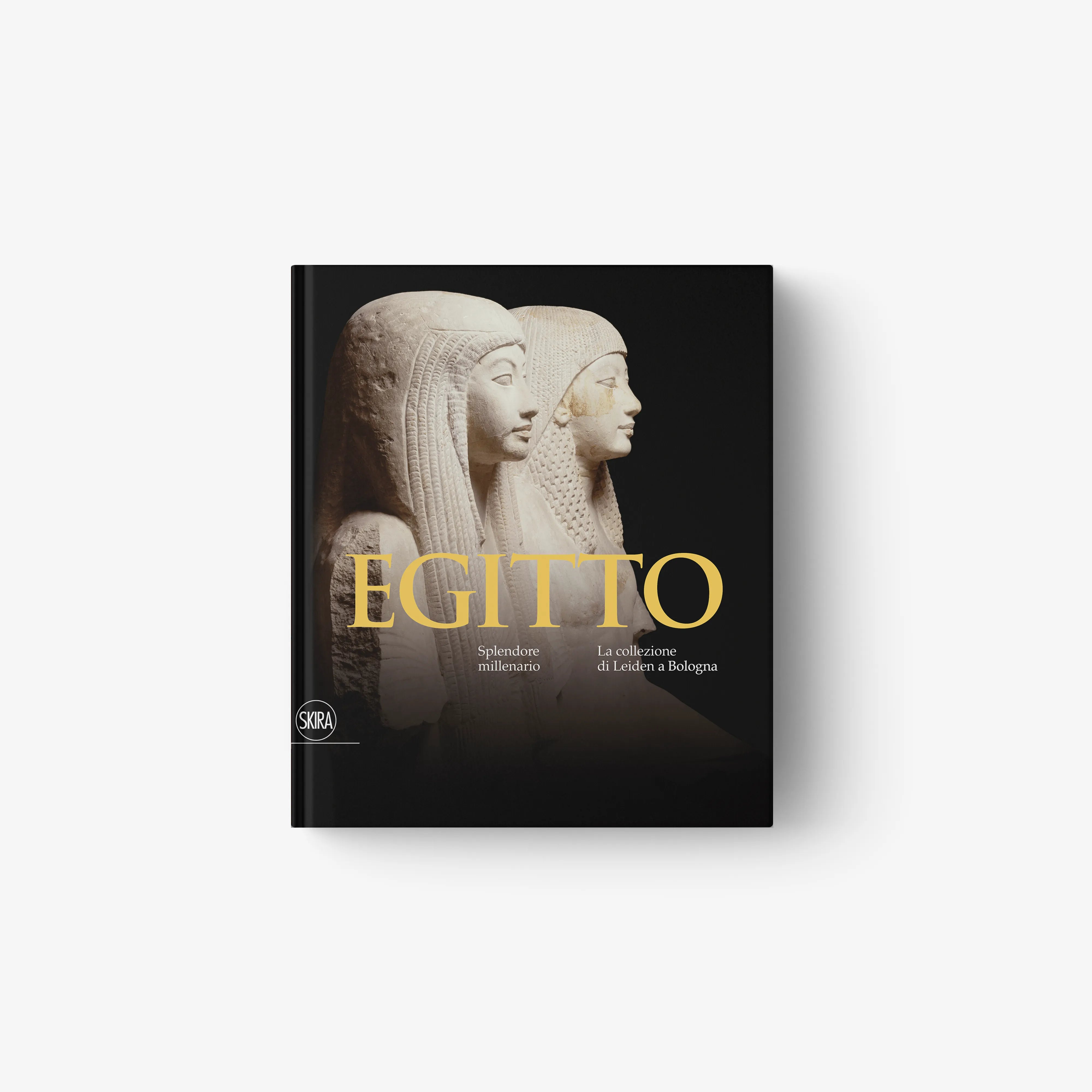 Egypt history book cover featuring two classical bust profiles
