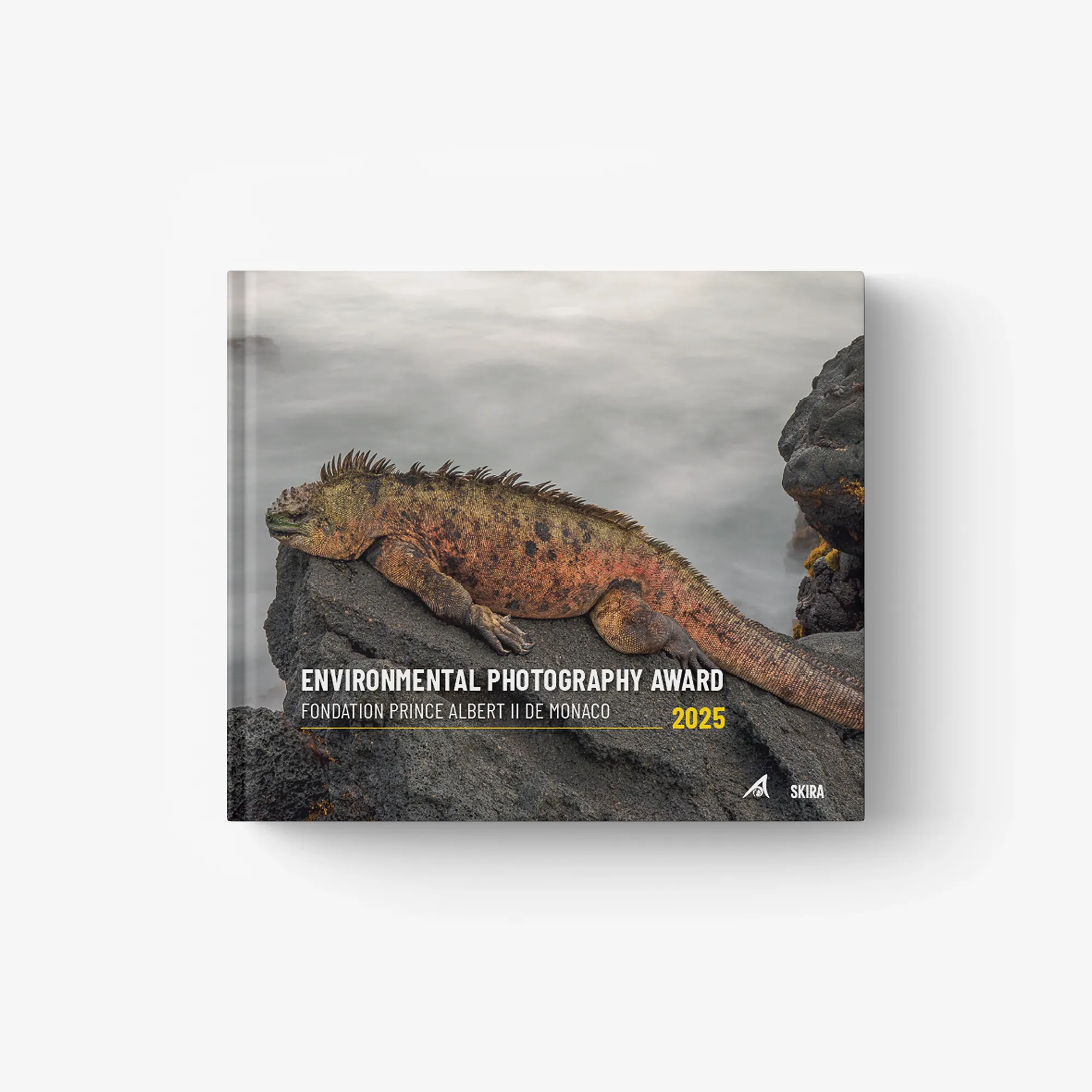 Environmental photography award book cover, landscape artwork with bold title and 2025.