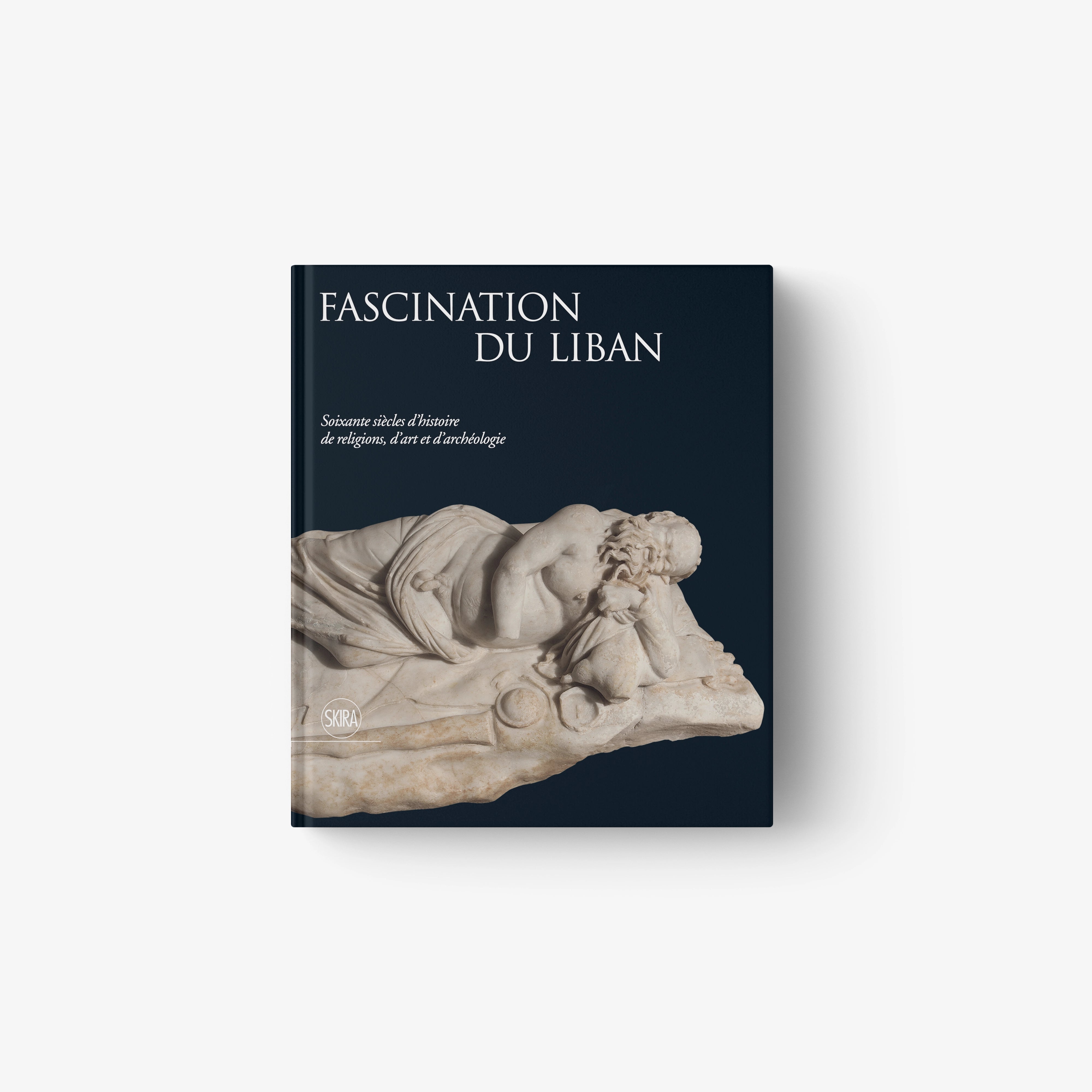 Dark blue book cover with title text and sculpted relief