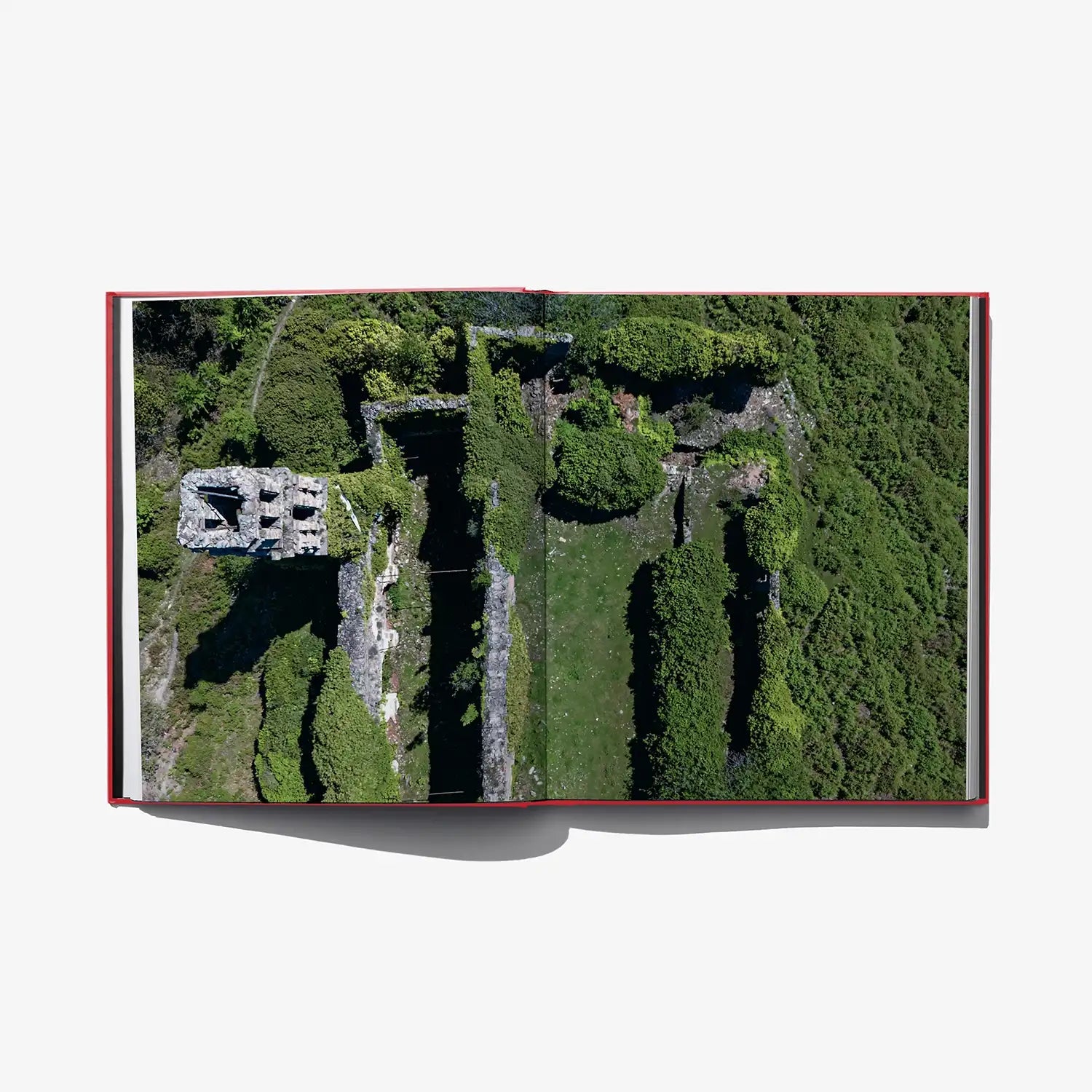 Aerial view photo on book page showing green grounds and stone ruins