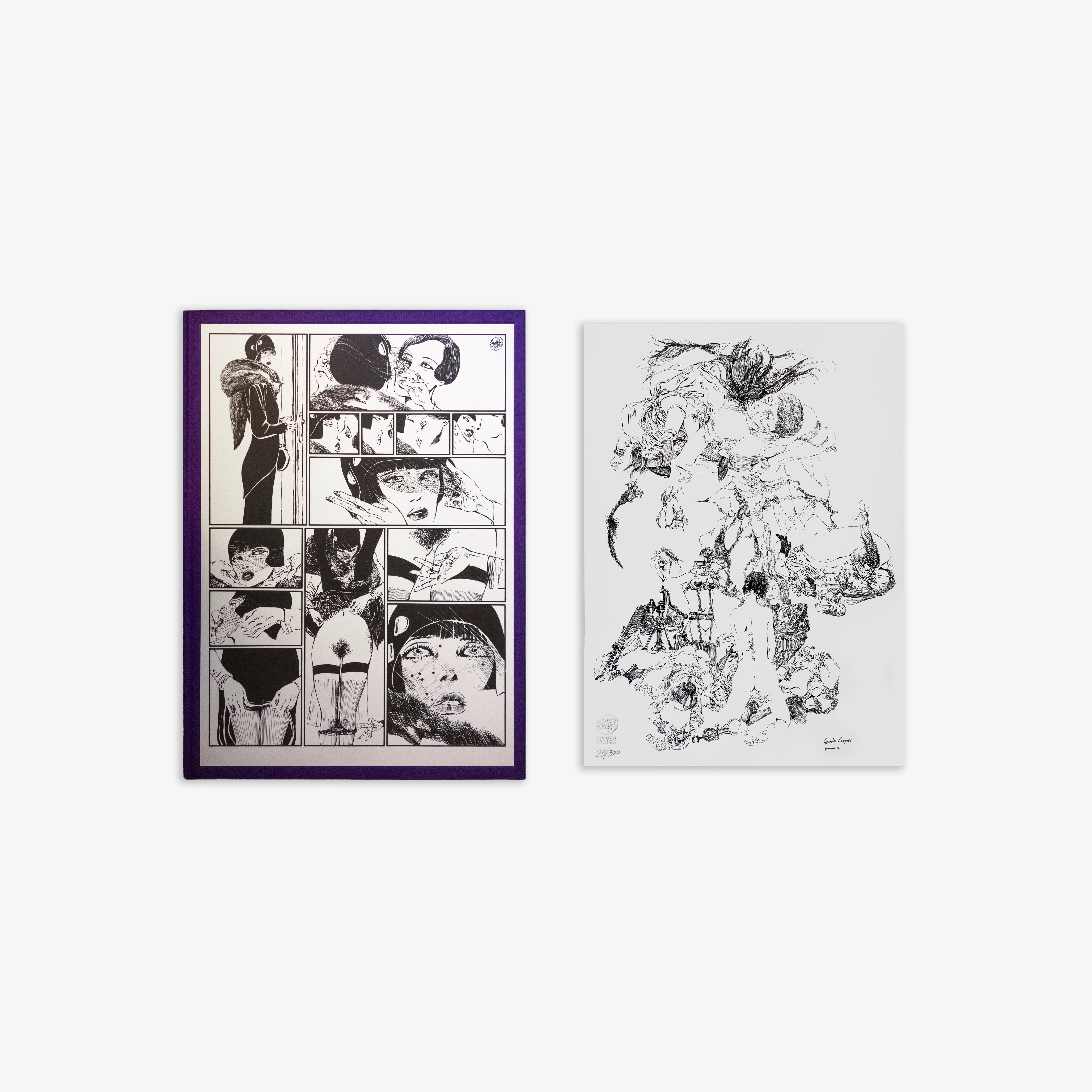 Framed illustrated comic print with purple border, plus matching unframed sketch