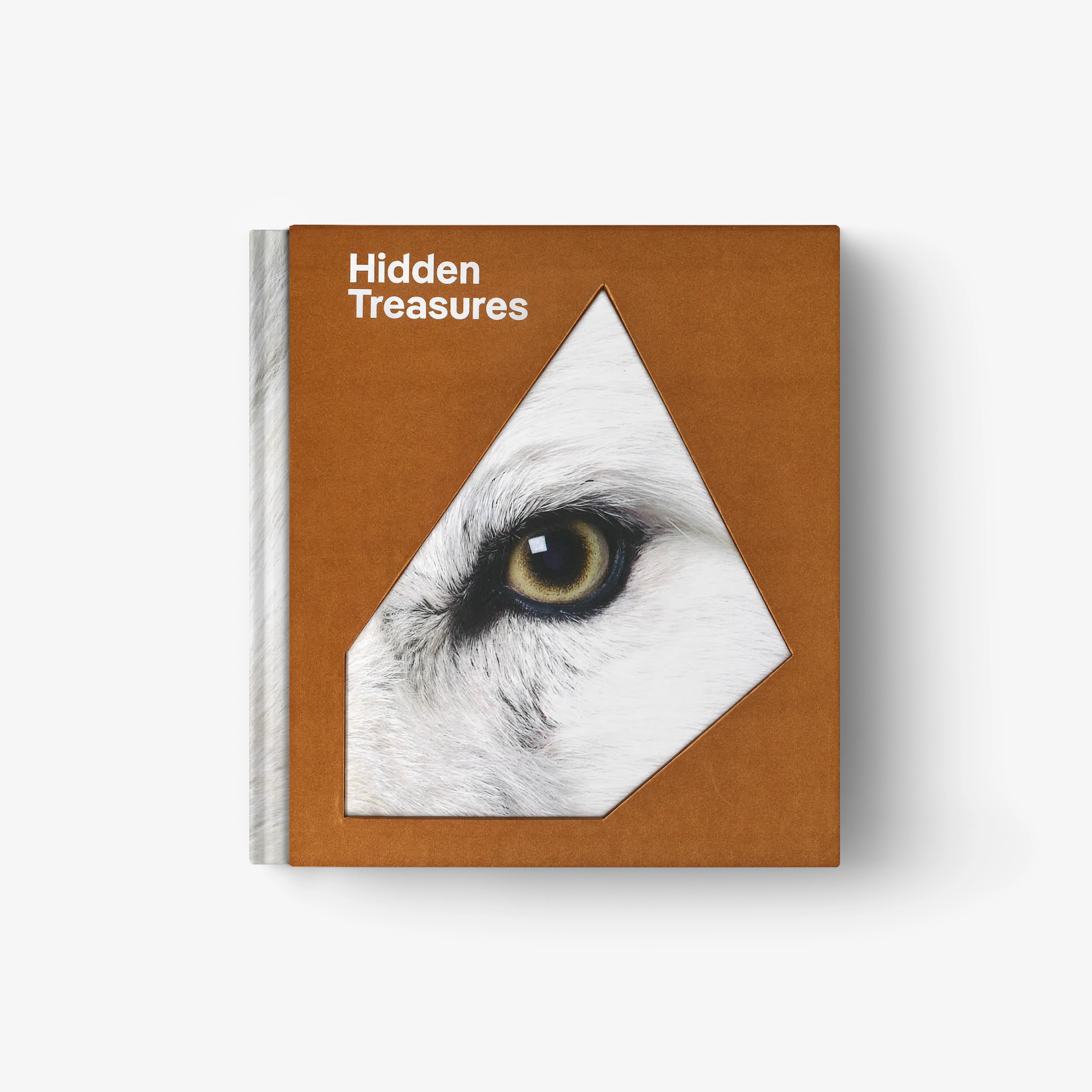 Brown hardcover book with triangular animal-eye cover art