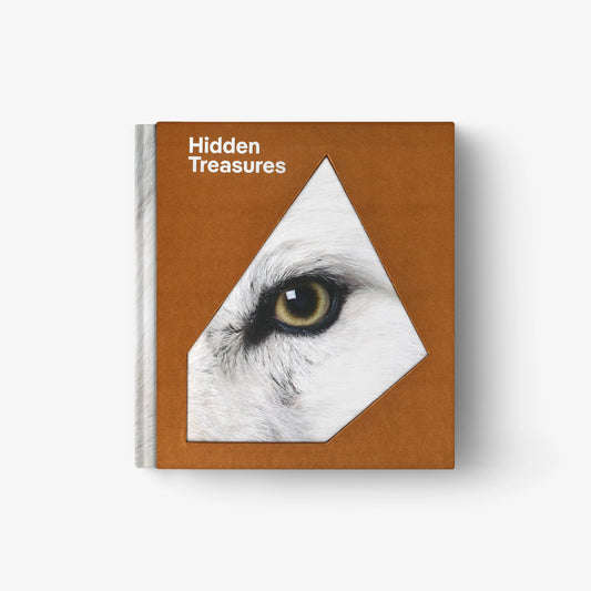 Hidden Treasure (English Edition) | Natural History Museum Abu Dhabi