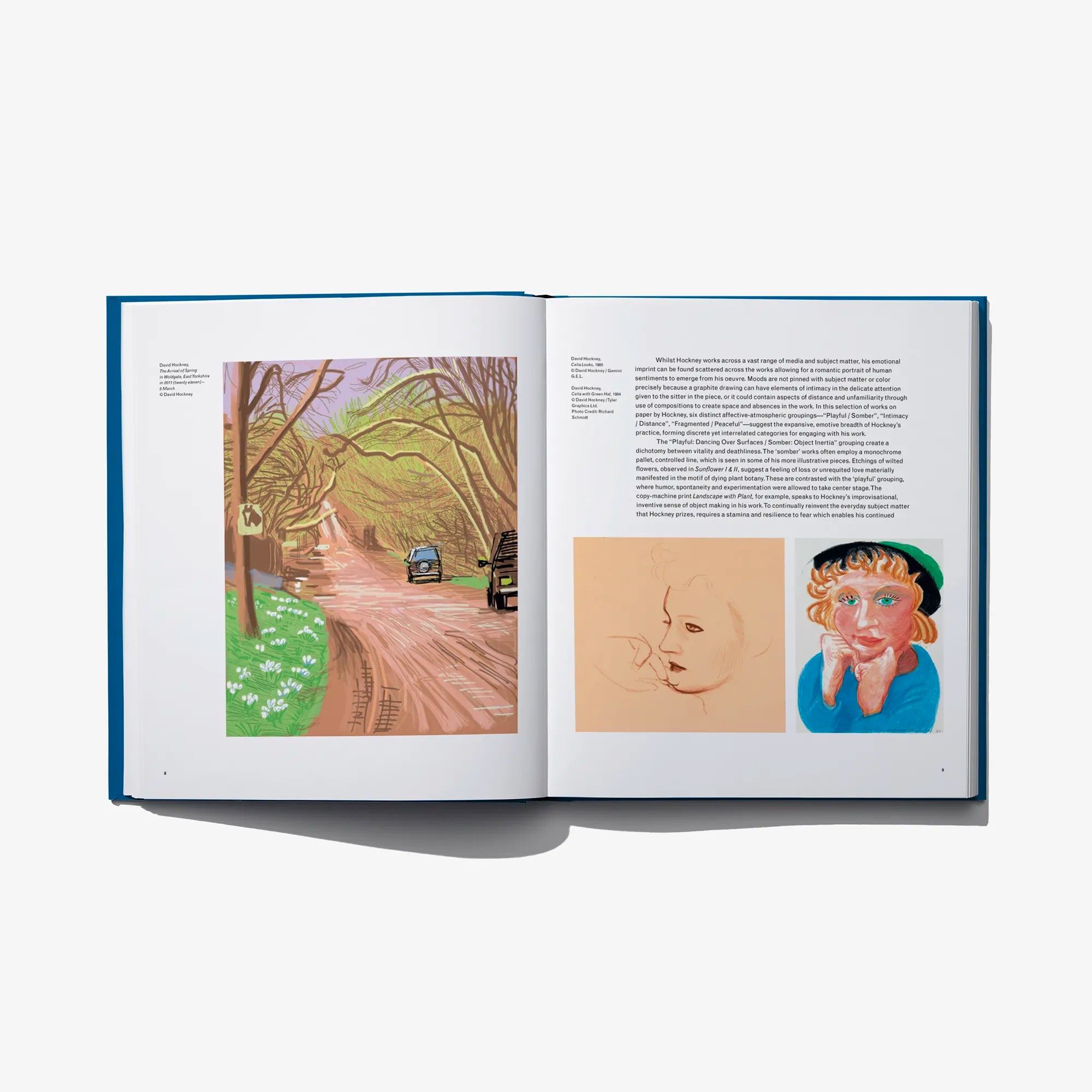 Open art book spread with colorful landscape print and two portrait artworks
