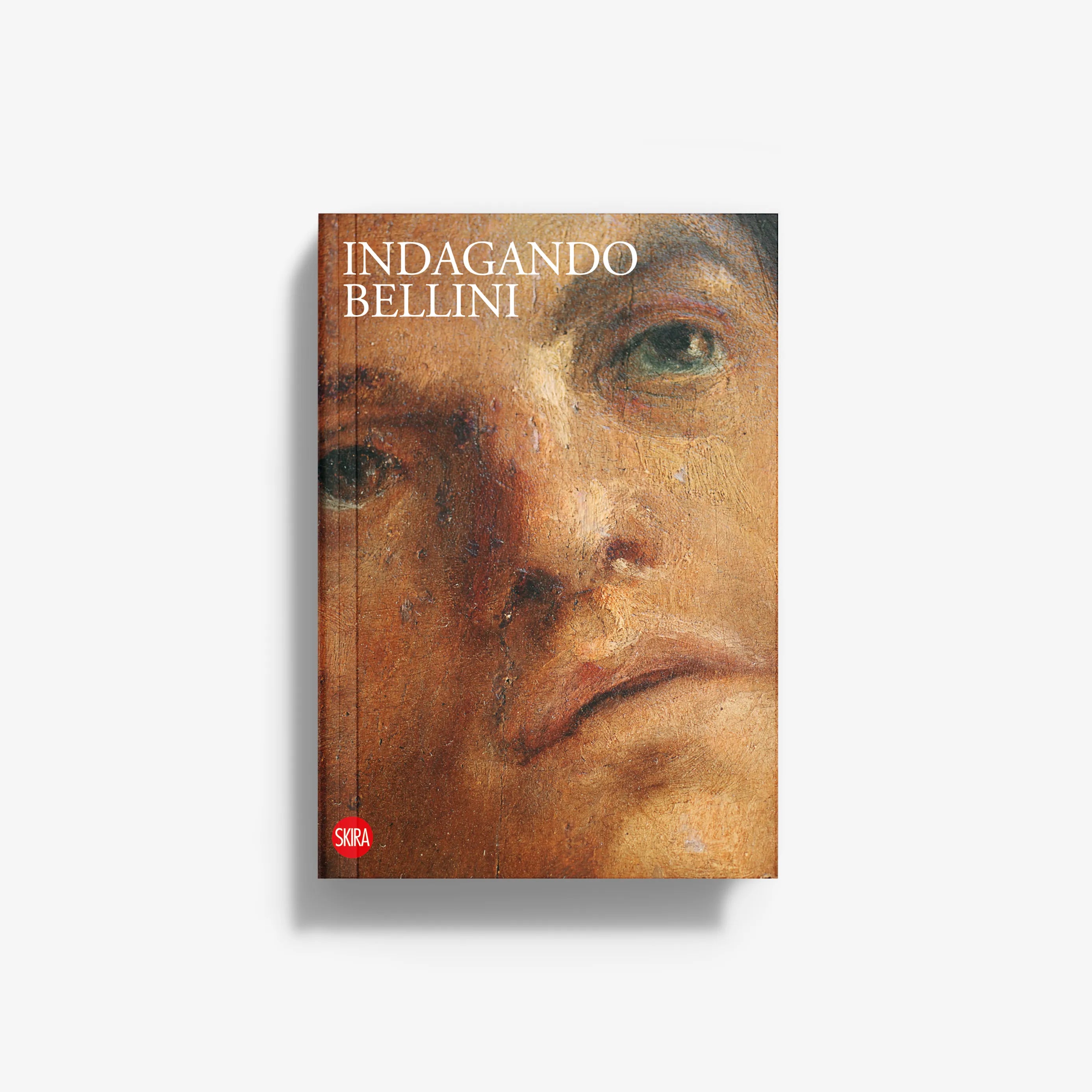 Investigating Bellini art book with portrait cover, title text and warm rust tones