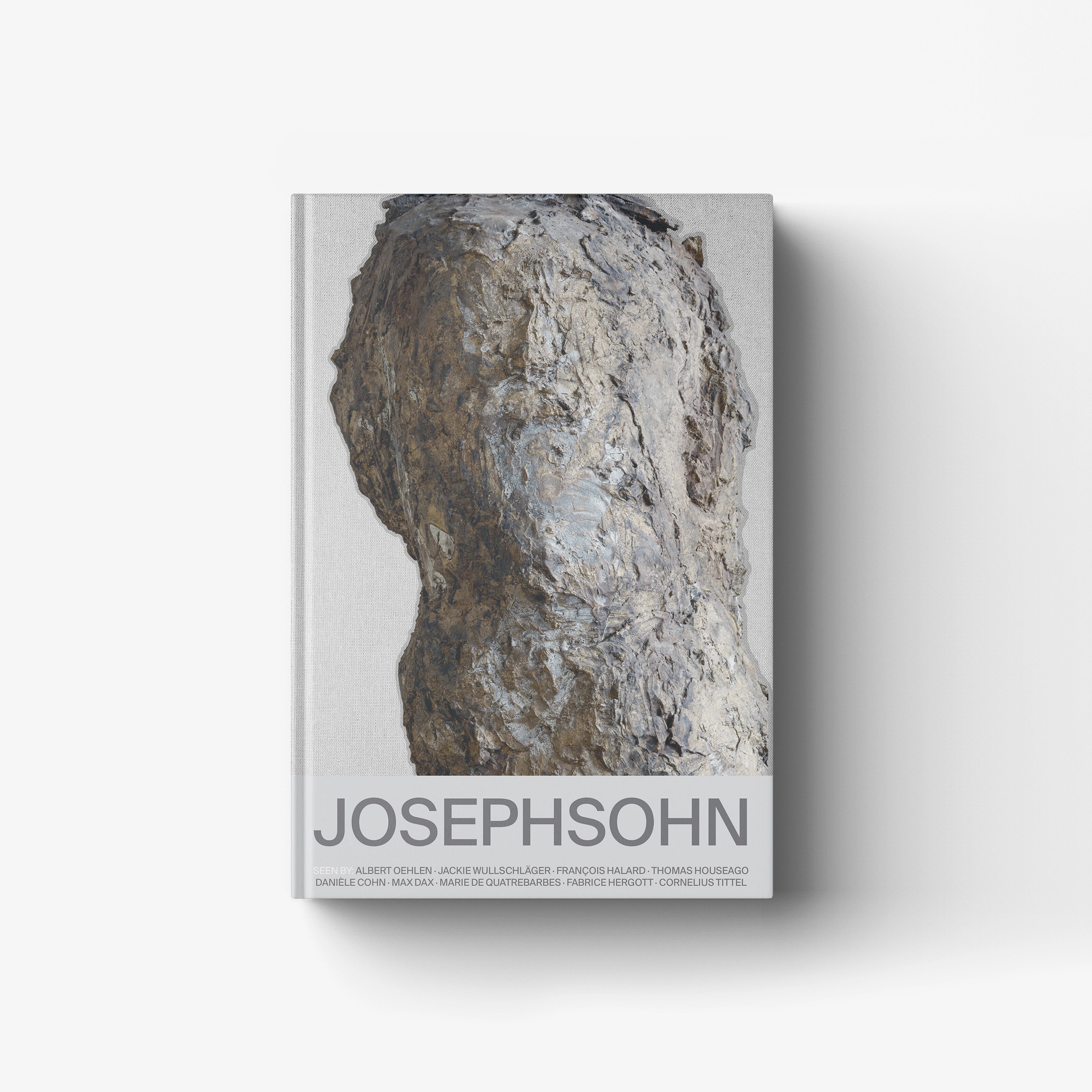 Contemporary art sculpture monograph book by Skira Arte with textured stone like cover and Josephsohn exhibition at Musée d'Art Moderne