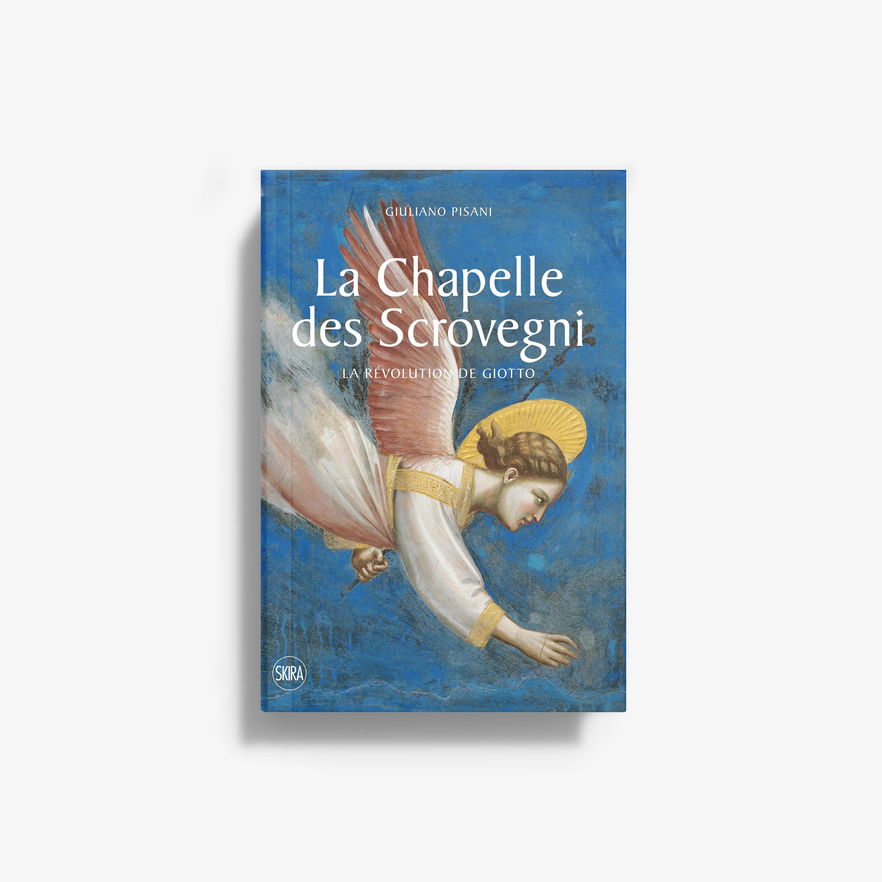 Classic art book in blue with angel fresco artwork, Skira Arte, La Chapelle des Scrovegni, Giotto revolution