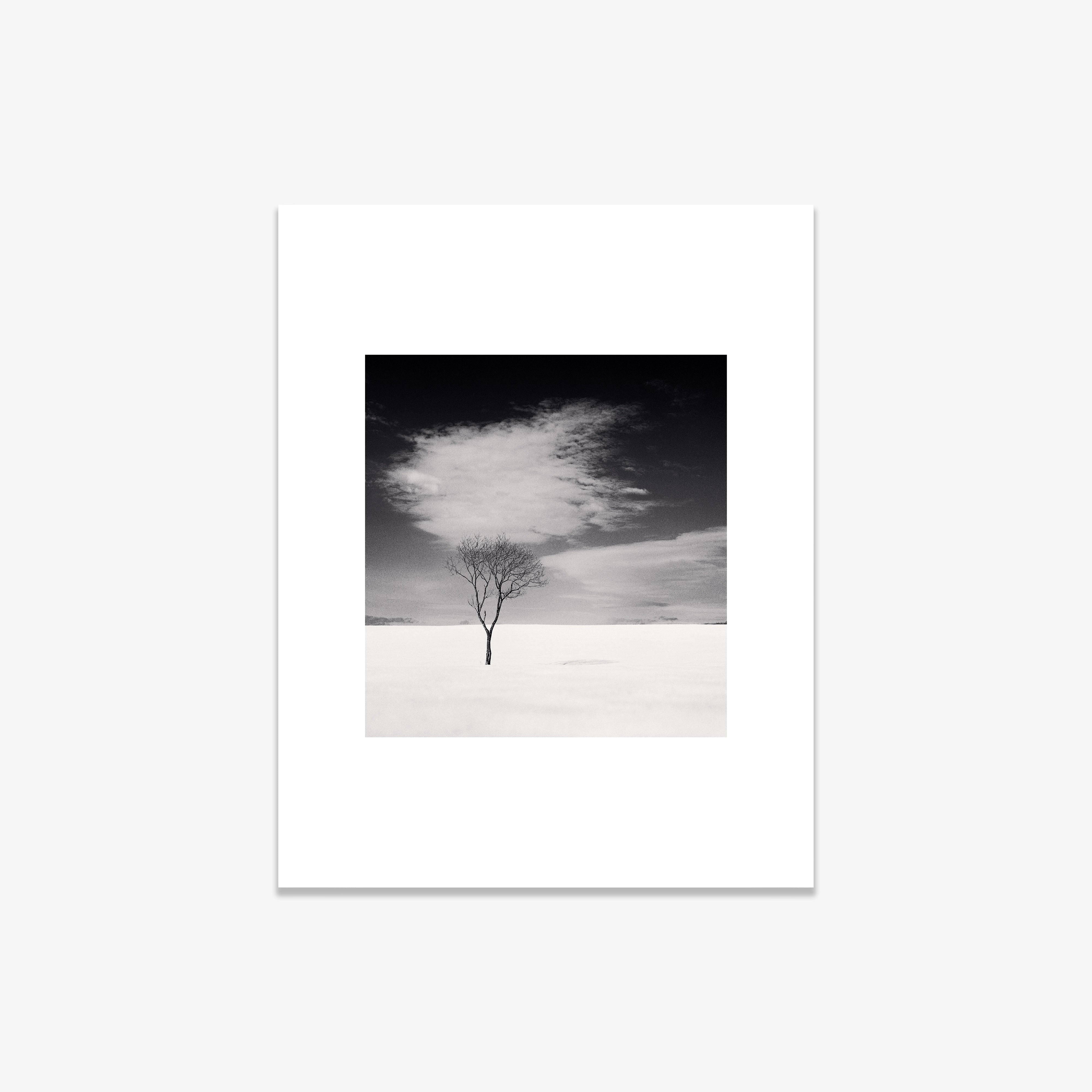 Monochrome art print featuring a lone tree under a cloudy sky