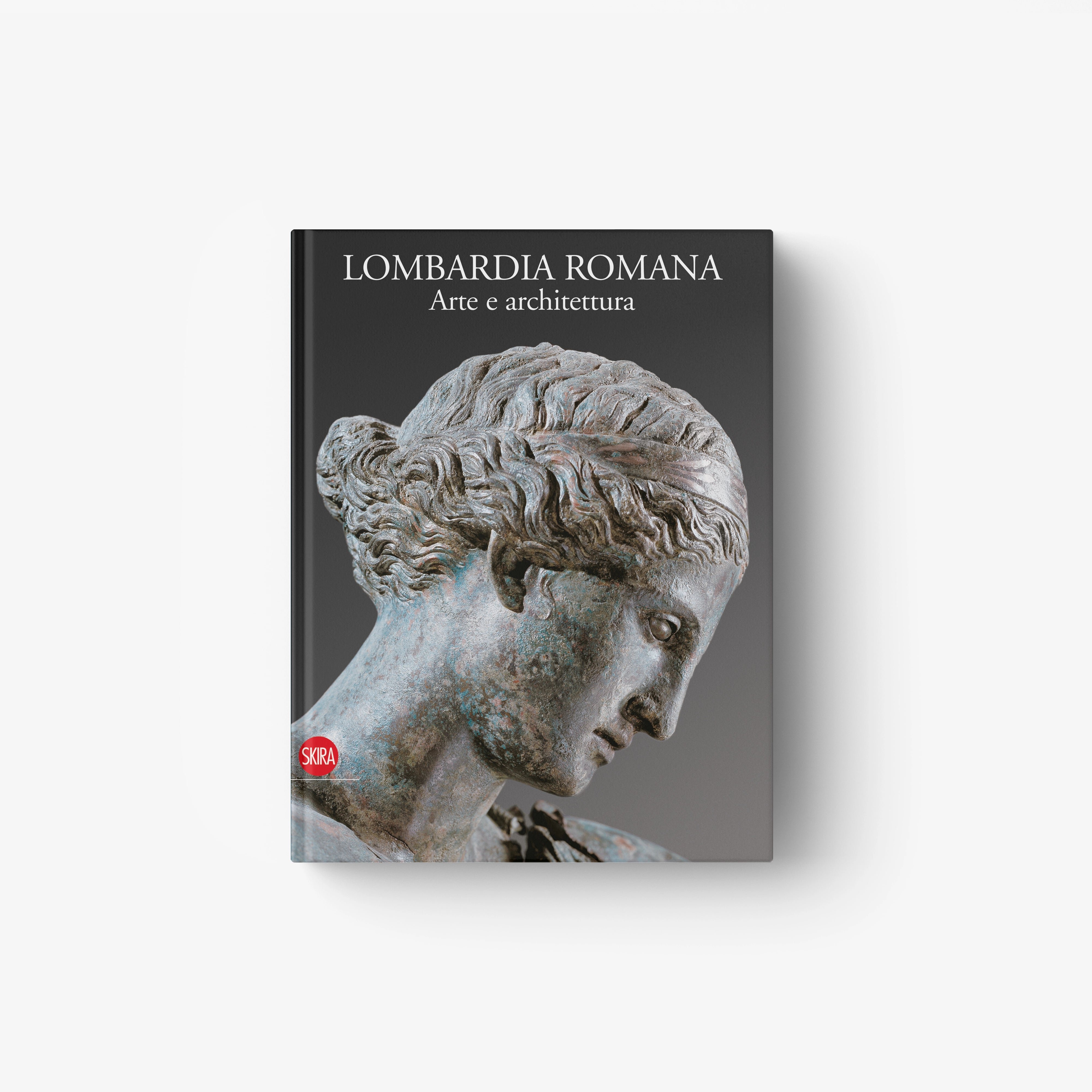 Hardcover book cover with gray marble bust profile artwork