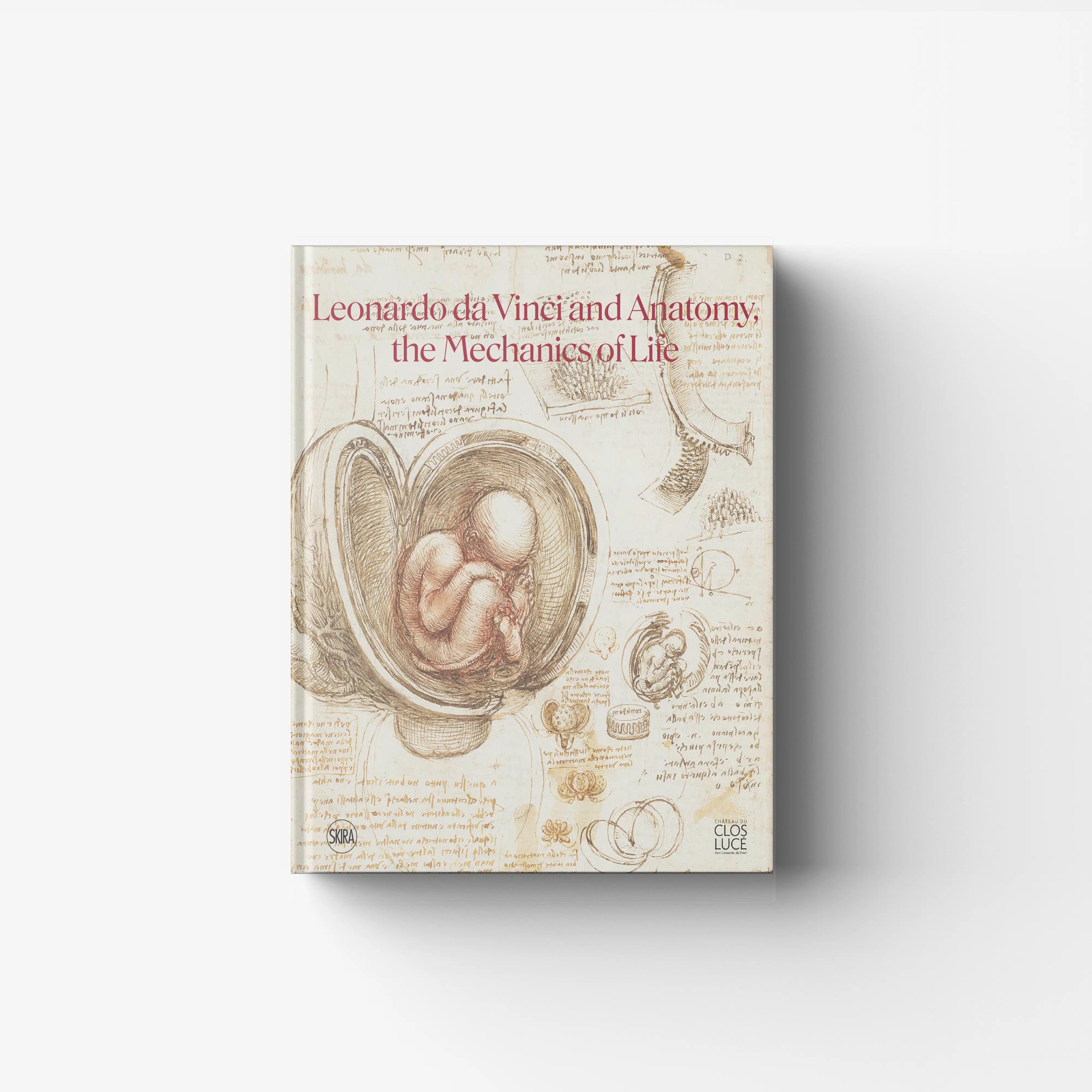 Art exhibition catalogue book by Skira Arte with anatomical dissection subject on cream cover with sepia diagrams