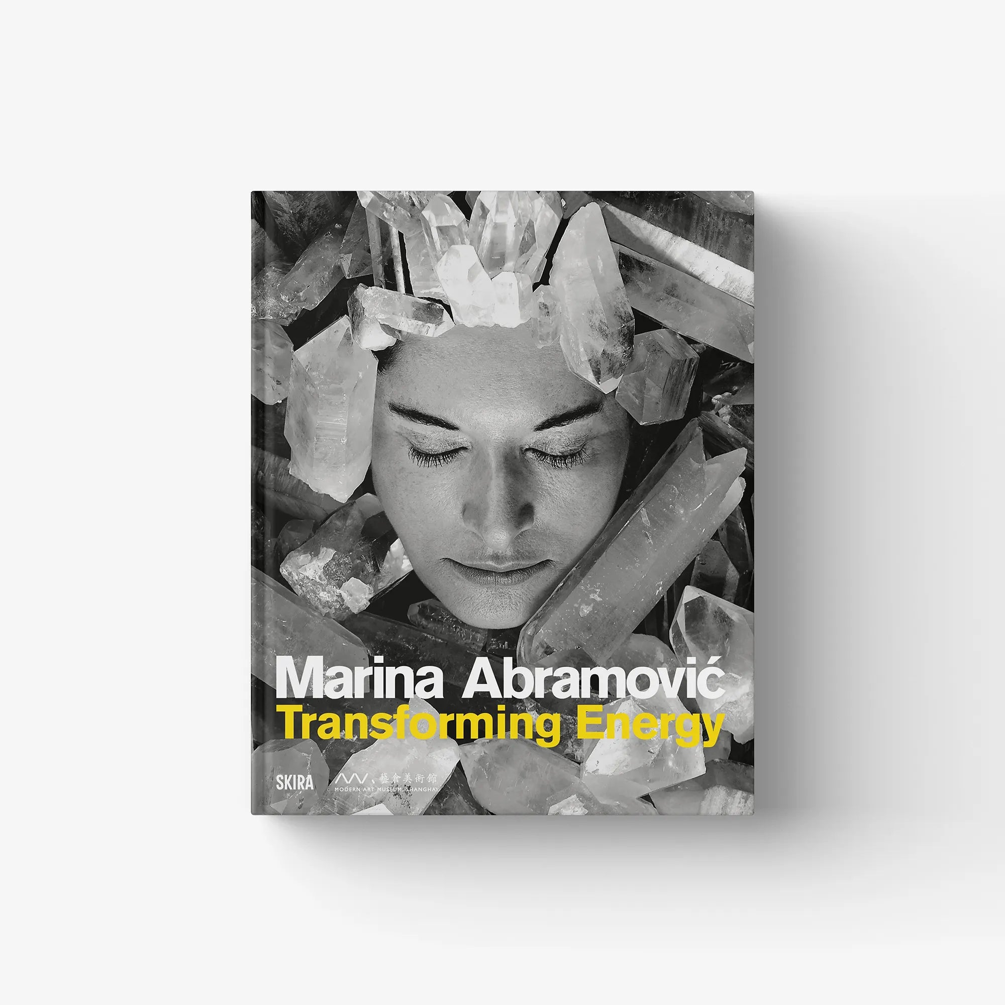 Art book cover with grayscale face portrait, crystal-like shapes, and yellow title text.