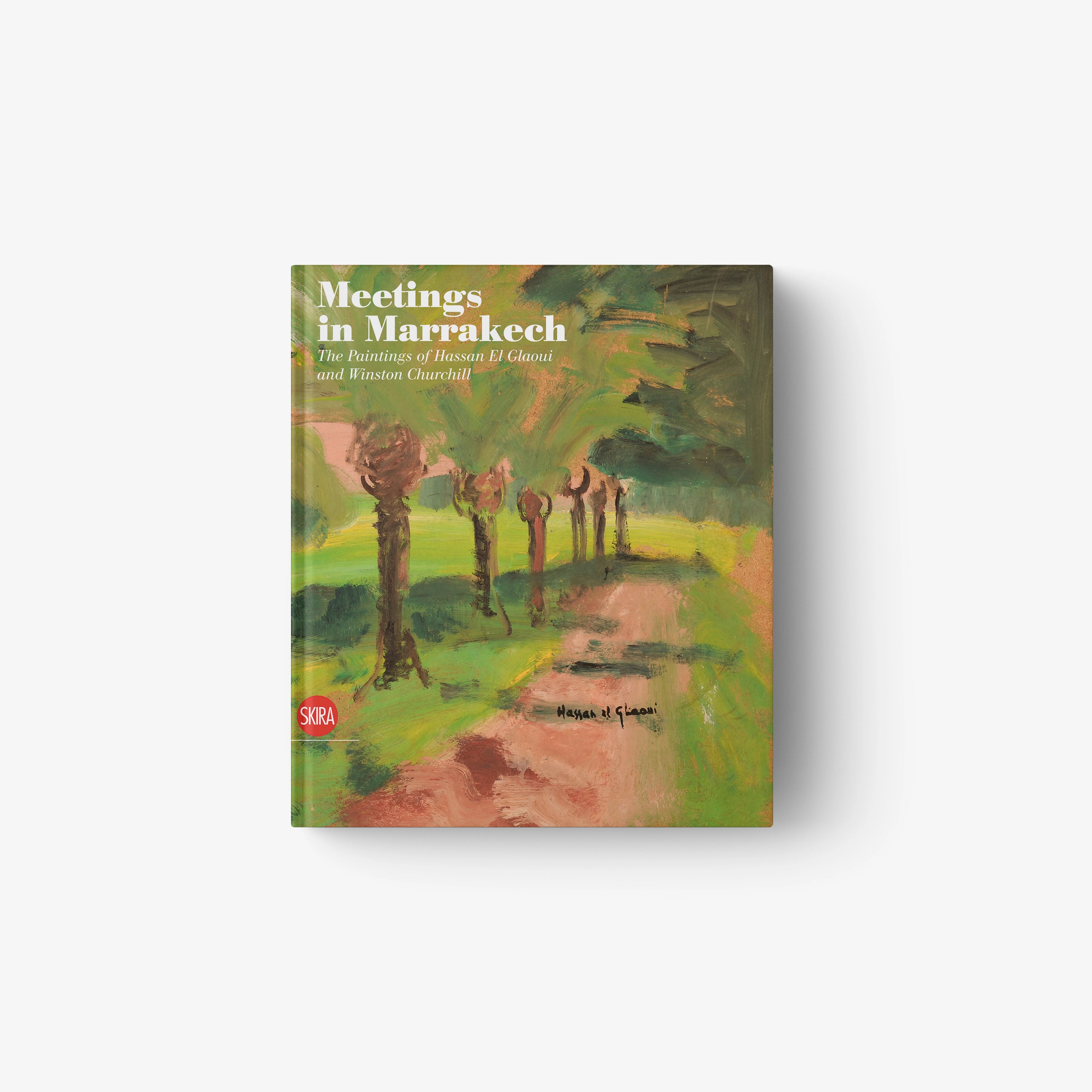 Paperback book, green illustrated cover titled 'Meetings in Marrakech'.