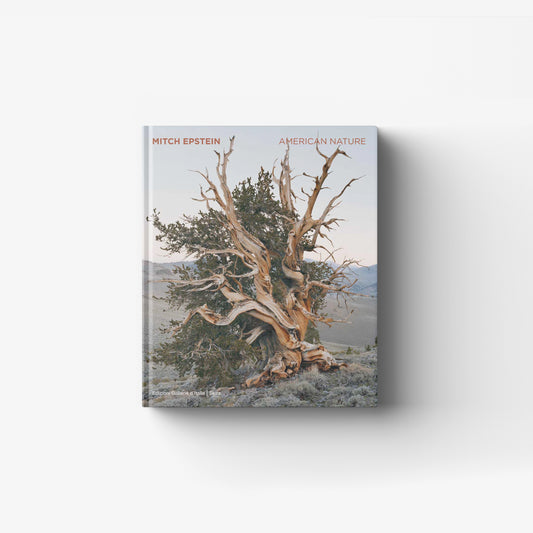 Mitch Epstein. American Nature