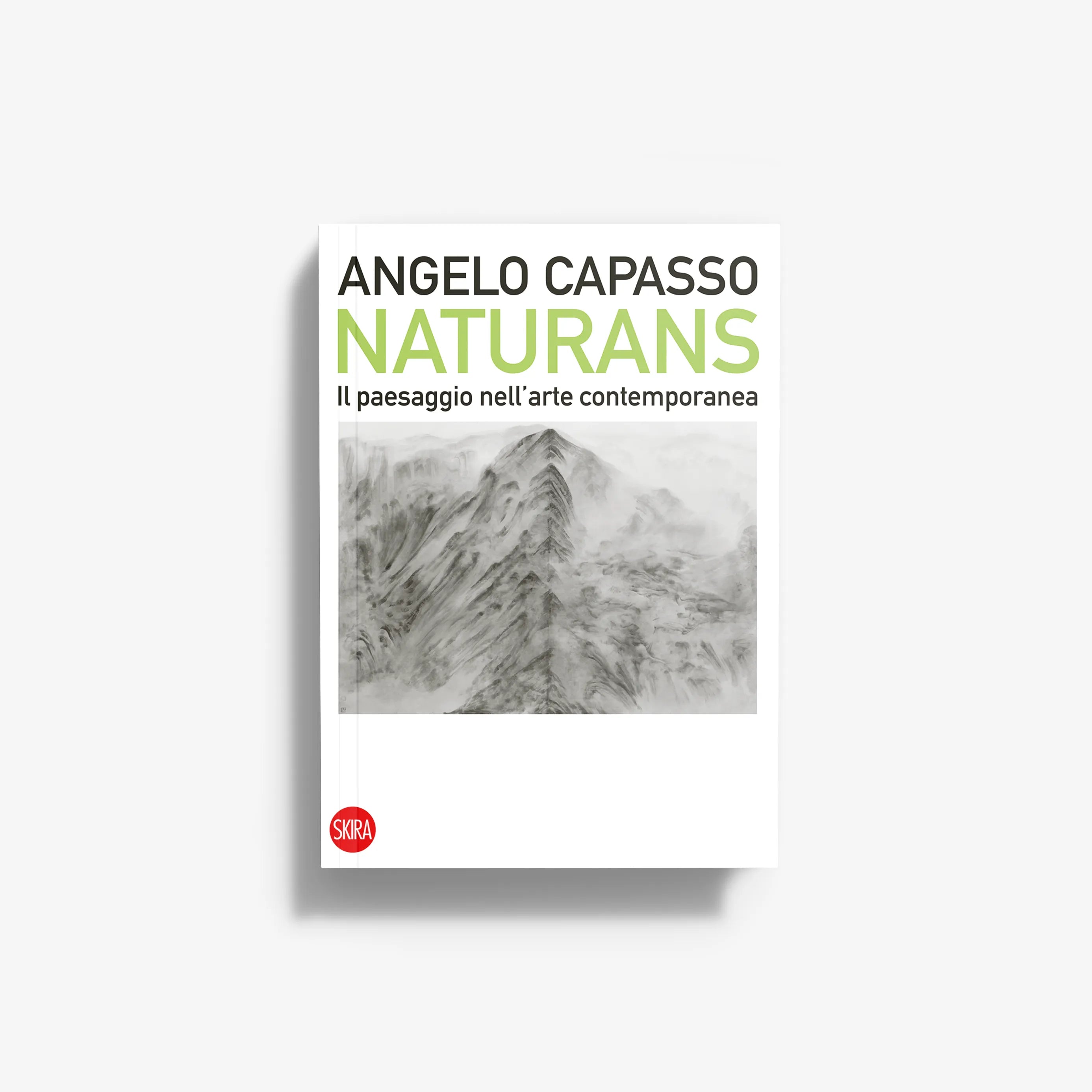 Naturans contemporary art book with Angelo Capasso; monochrome landscape cover illustration