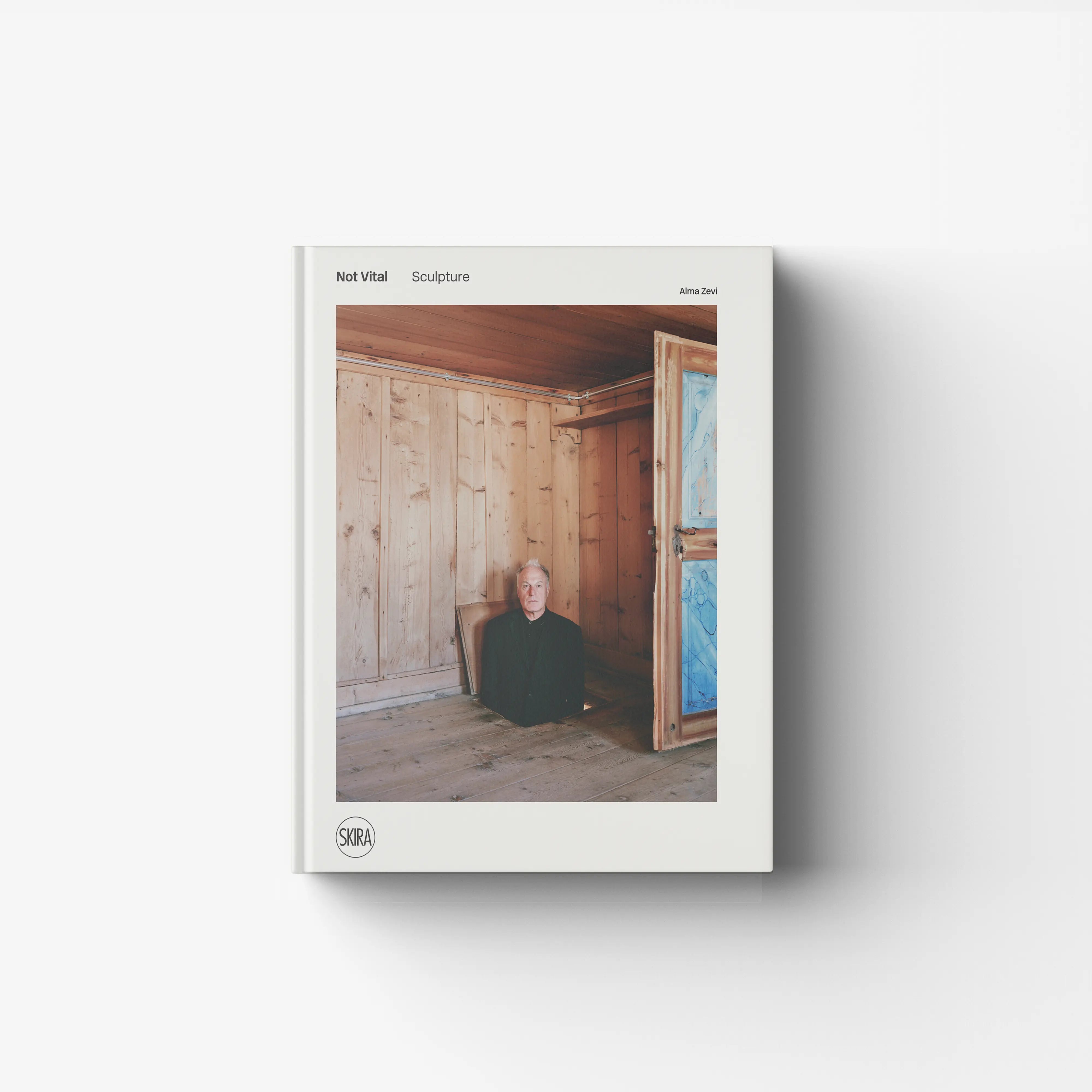 Sculpture monograph by Skira Arte with a cover showing an indoor wooden room and a seated man