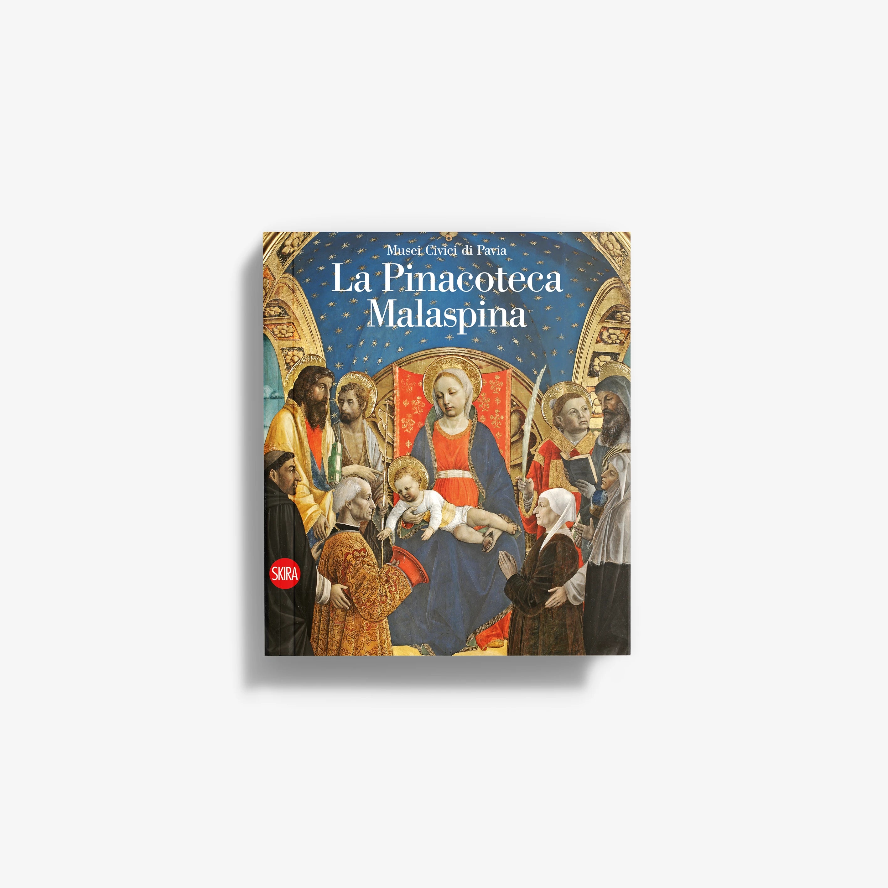 Art book with illustrated painting cover, titled La Pinacoteca Malaspina