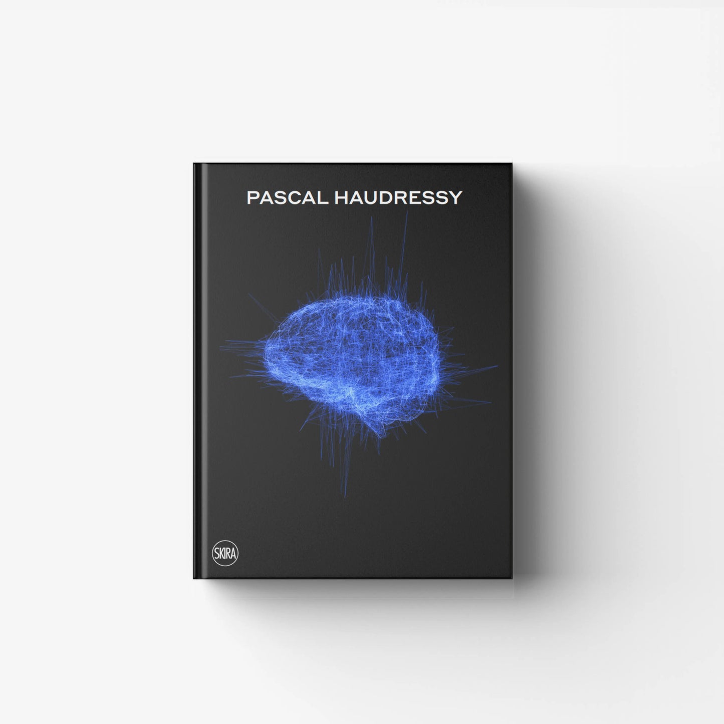 Pascal Haudressy