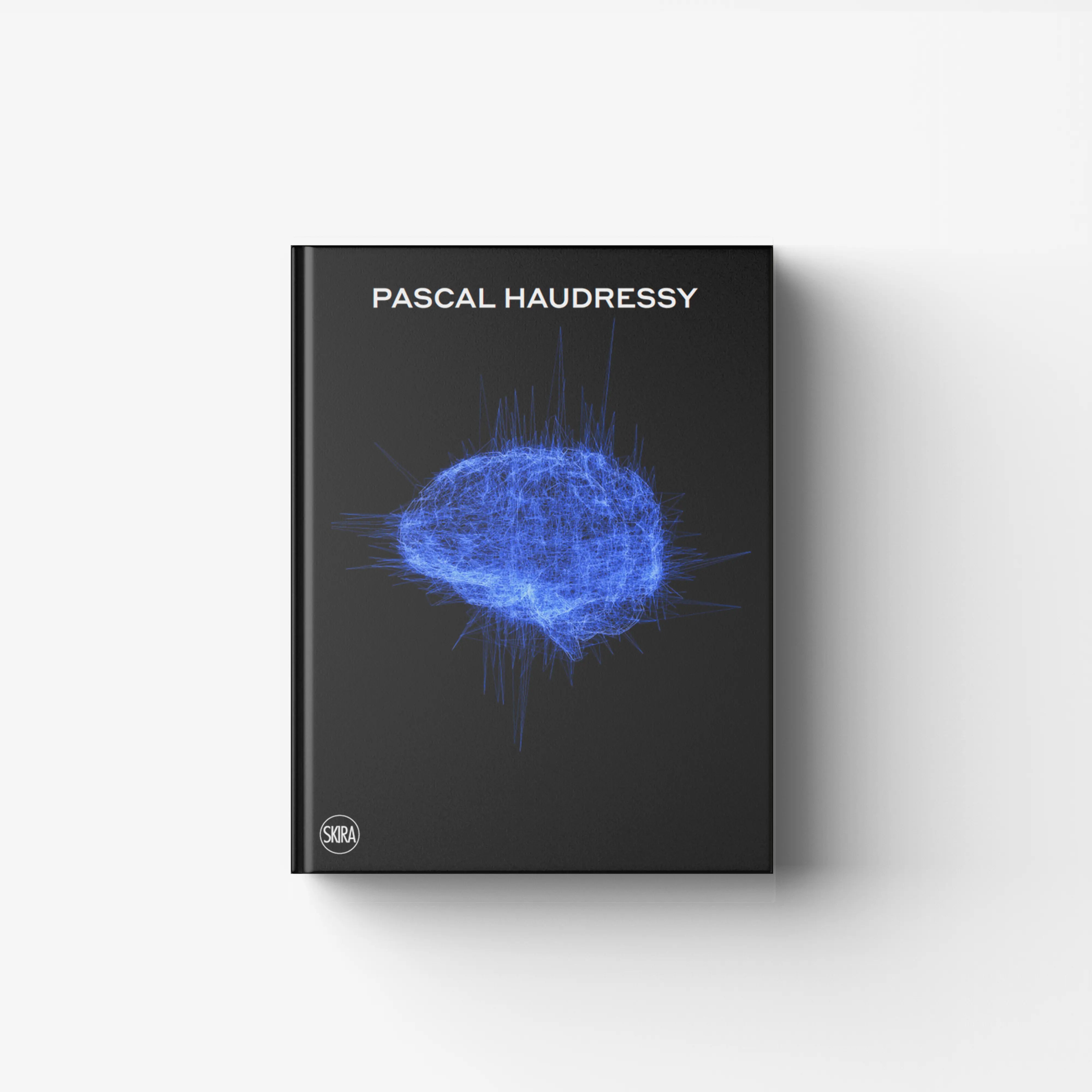 Contemporary art publication by Skira Arte, Pascal Haudressy, dark cover with blue generative form and title text
