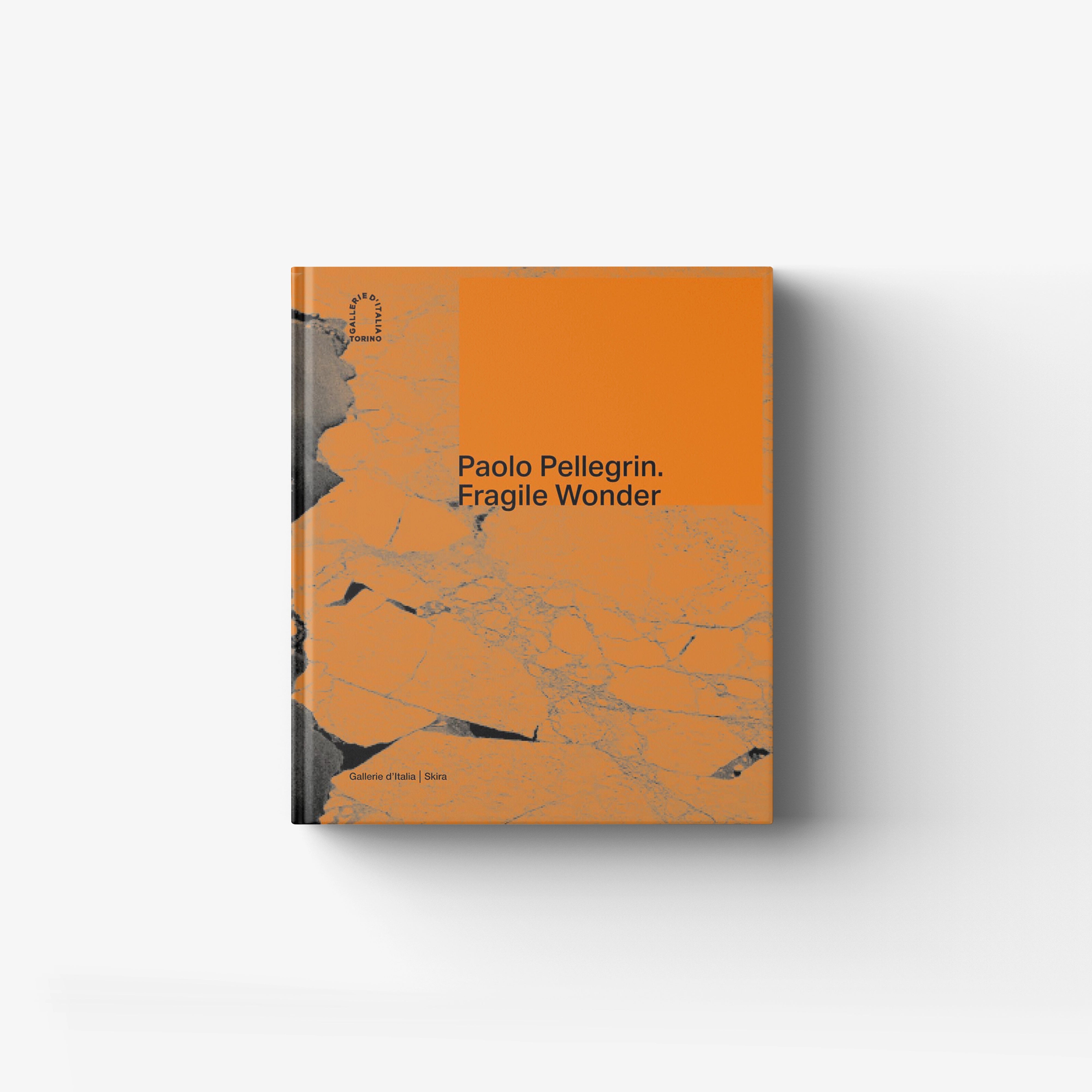 Italian photography book in orange and grey with Paolo Pellegrin by Skira Arte, Galerie d'Italia cover