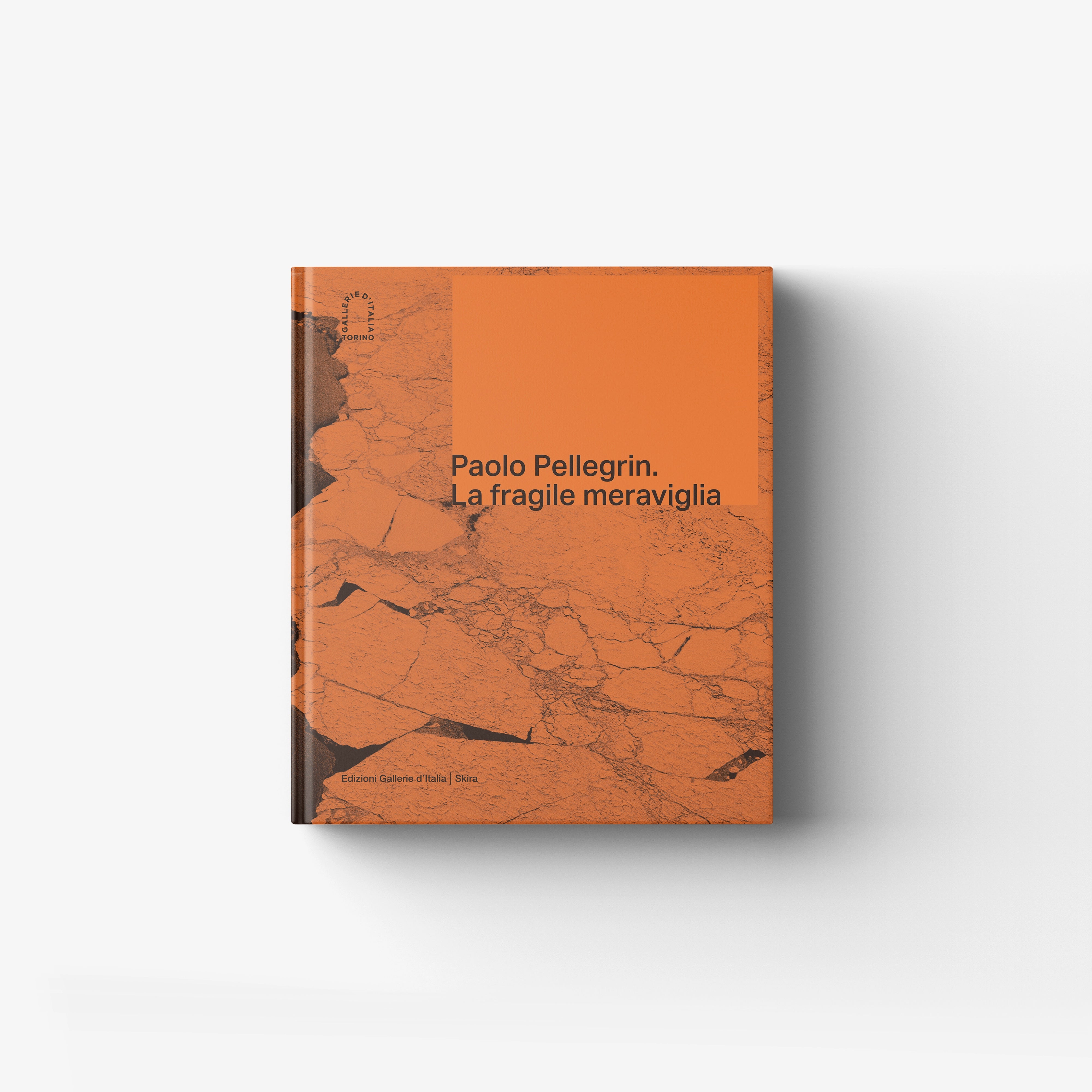 Contemporary art book by Skira Arte, Paolo Pellegrin, orange monografia fotografica sul cambiamento climatico