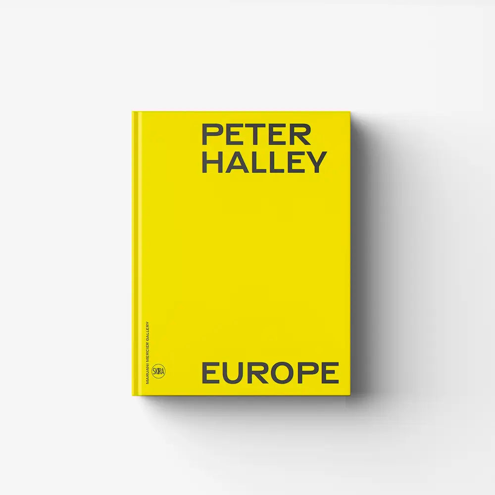 Contemporary art monograph in bright yellow with Peter Halley Europe cover, Skira Arte, geometric abstraction-derived pictorial vocabulary