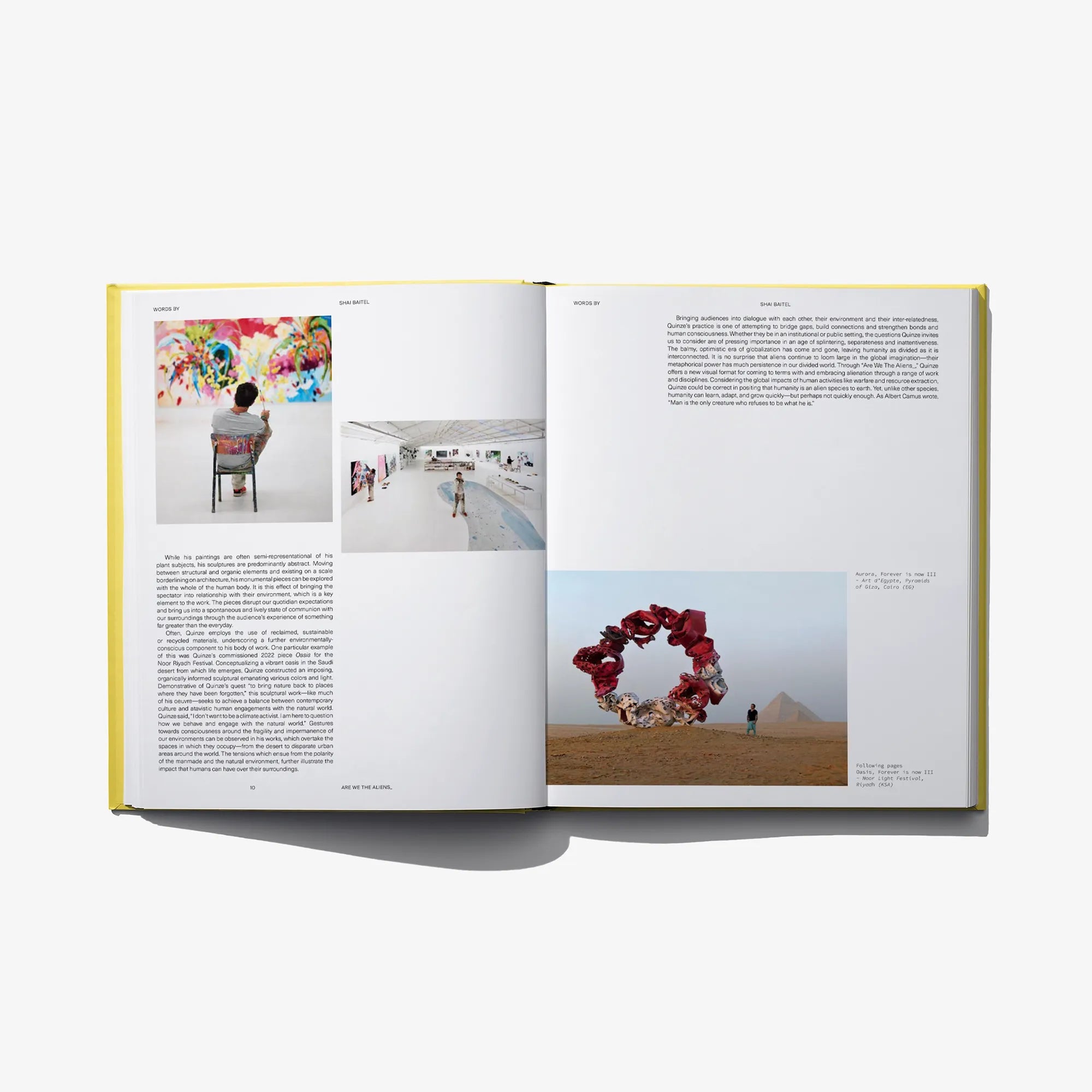Open book spread with multiple art photos and blocks of printed text