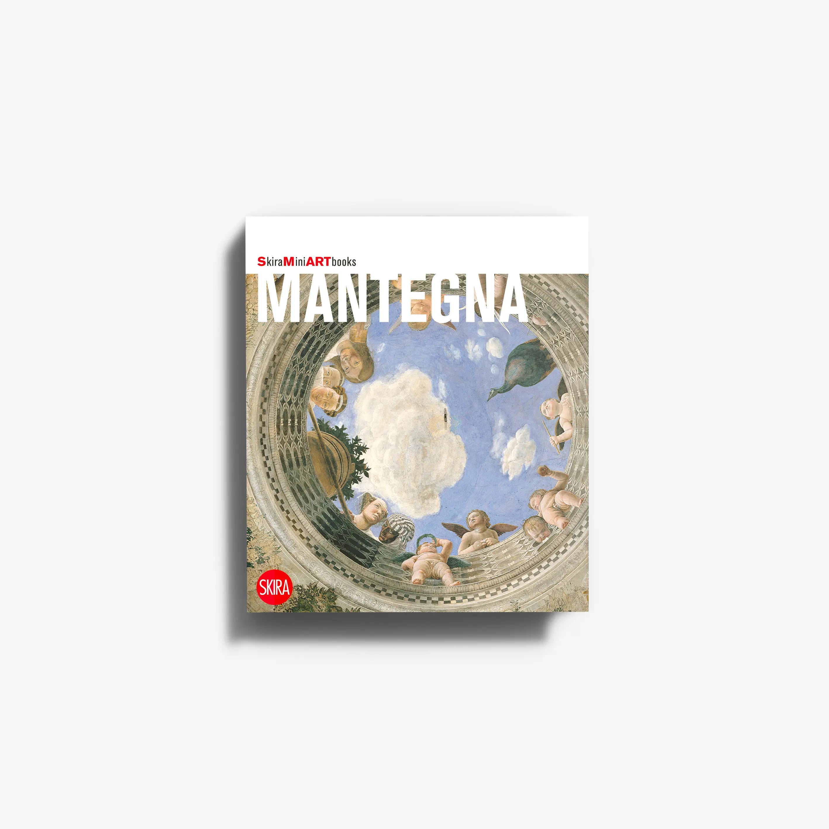 Art book by Skira Arte titled Mantegna with Renaissance painting cover and analysis of Andrea Mantegna works from Padua to Mantua