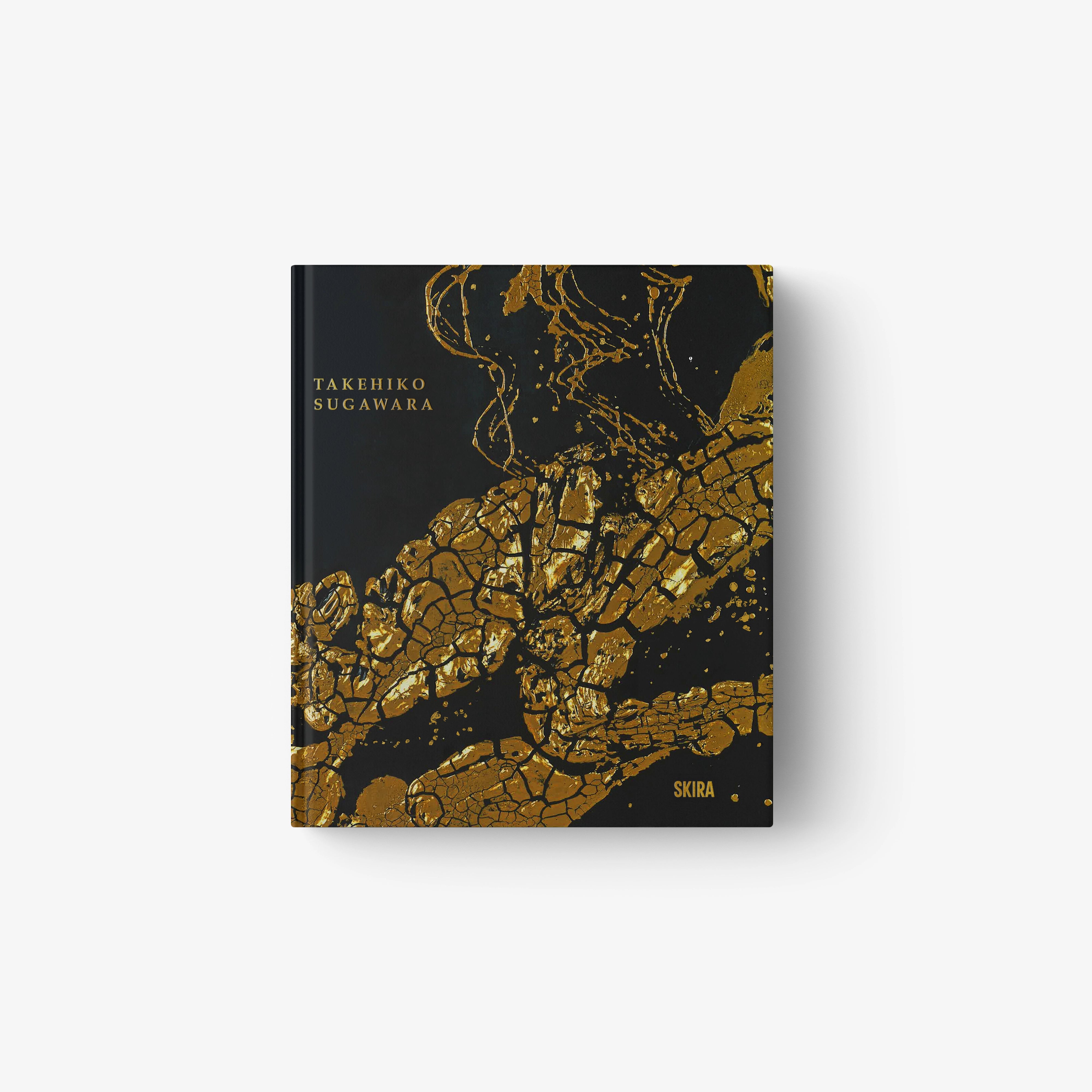 Art book cover by Takehiko Sugawara with gold abstract map-like pattern
